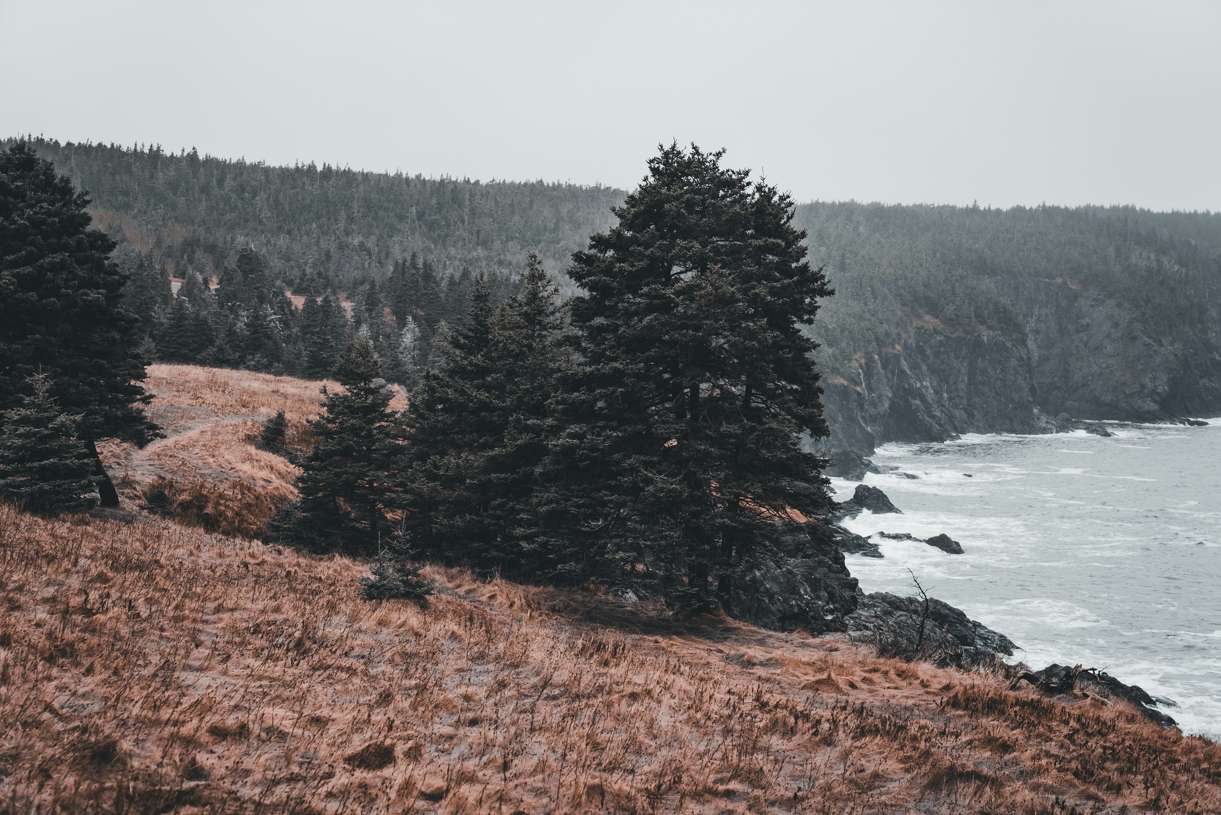 Photo by introspectivedsgn