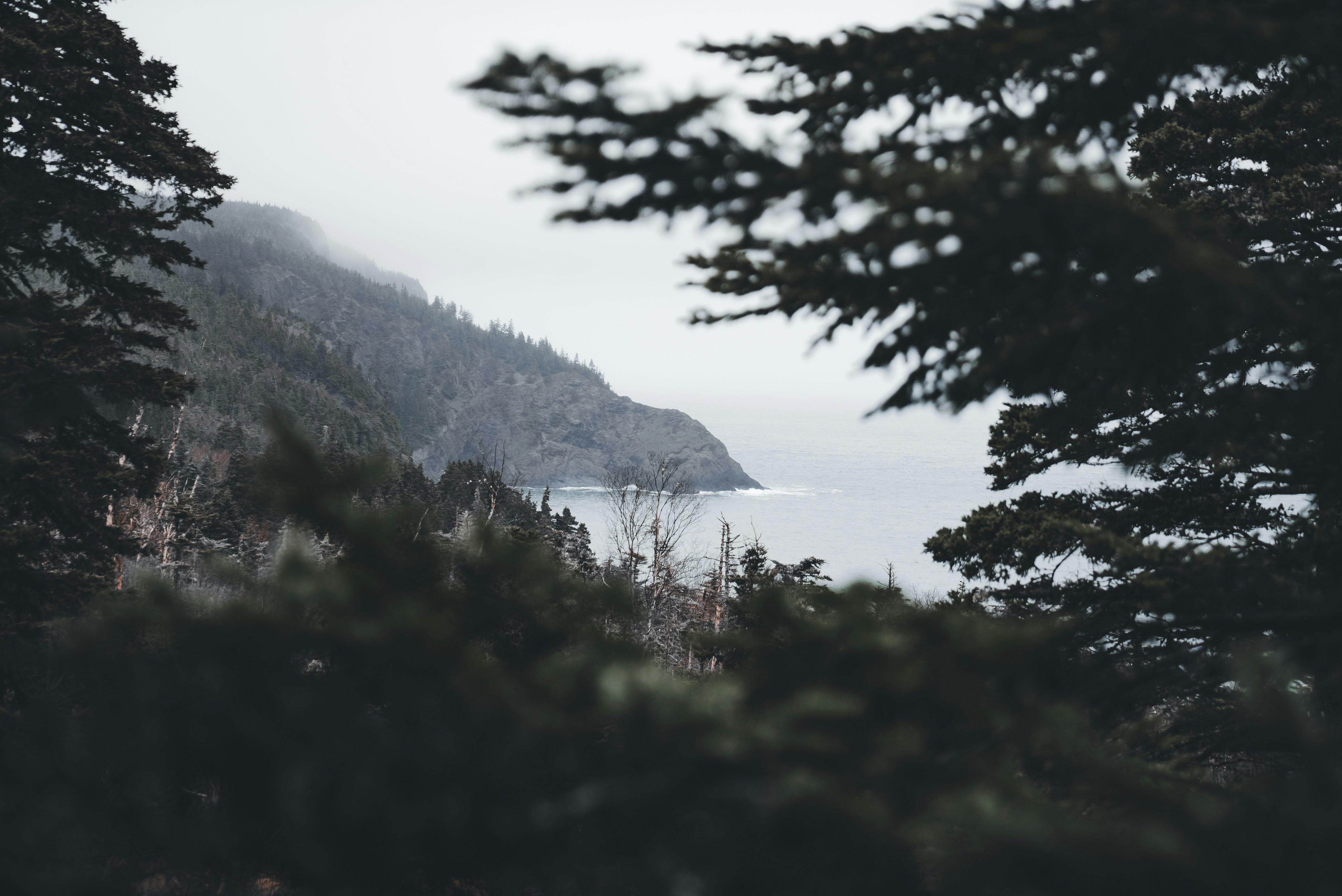 Photo by introspectivedsgn