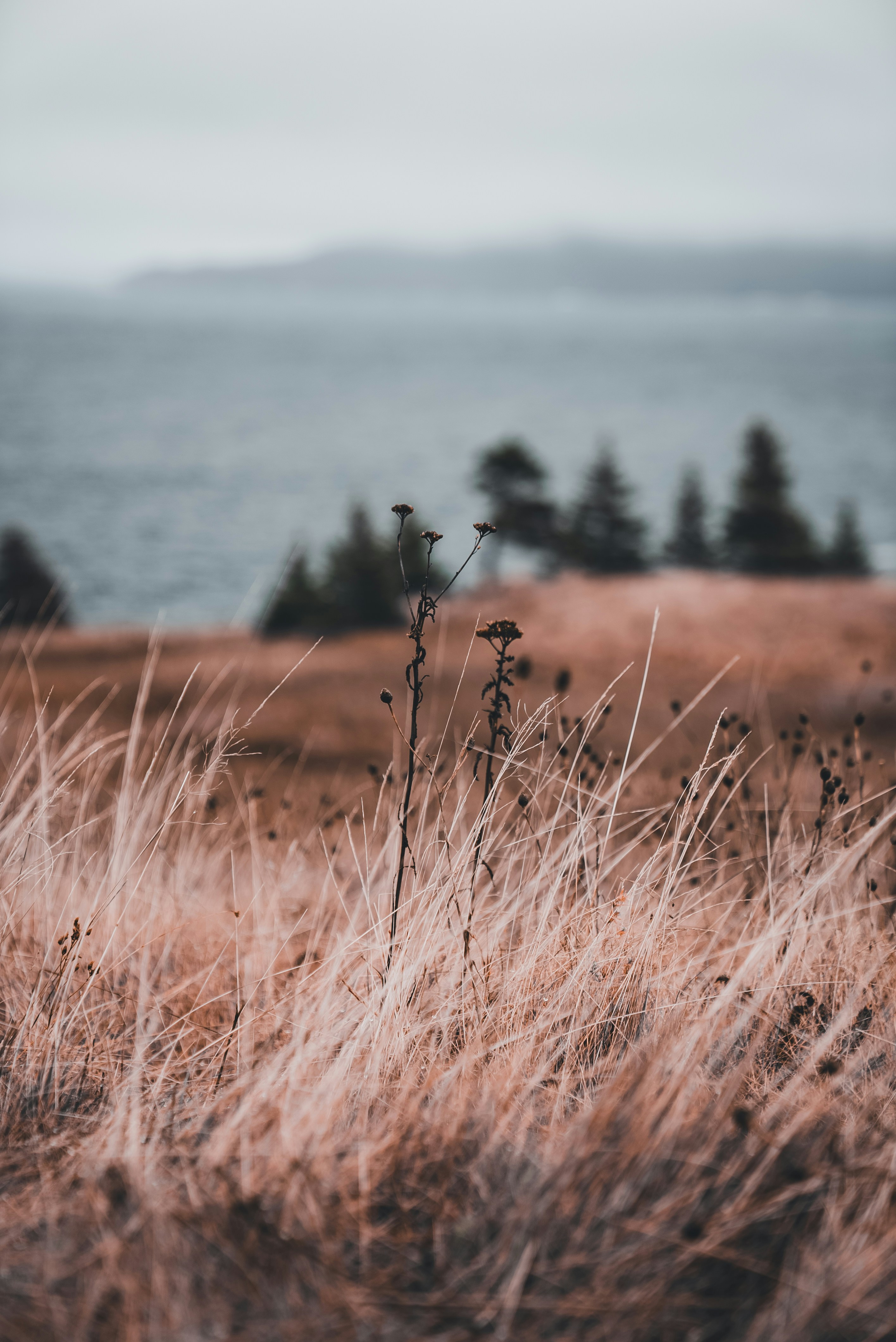 Photo by introspectivedsgn