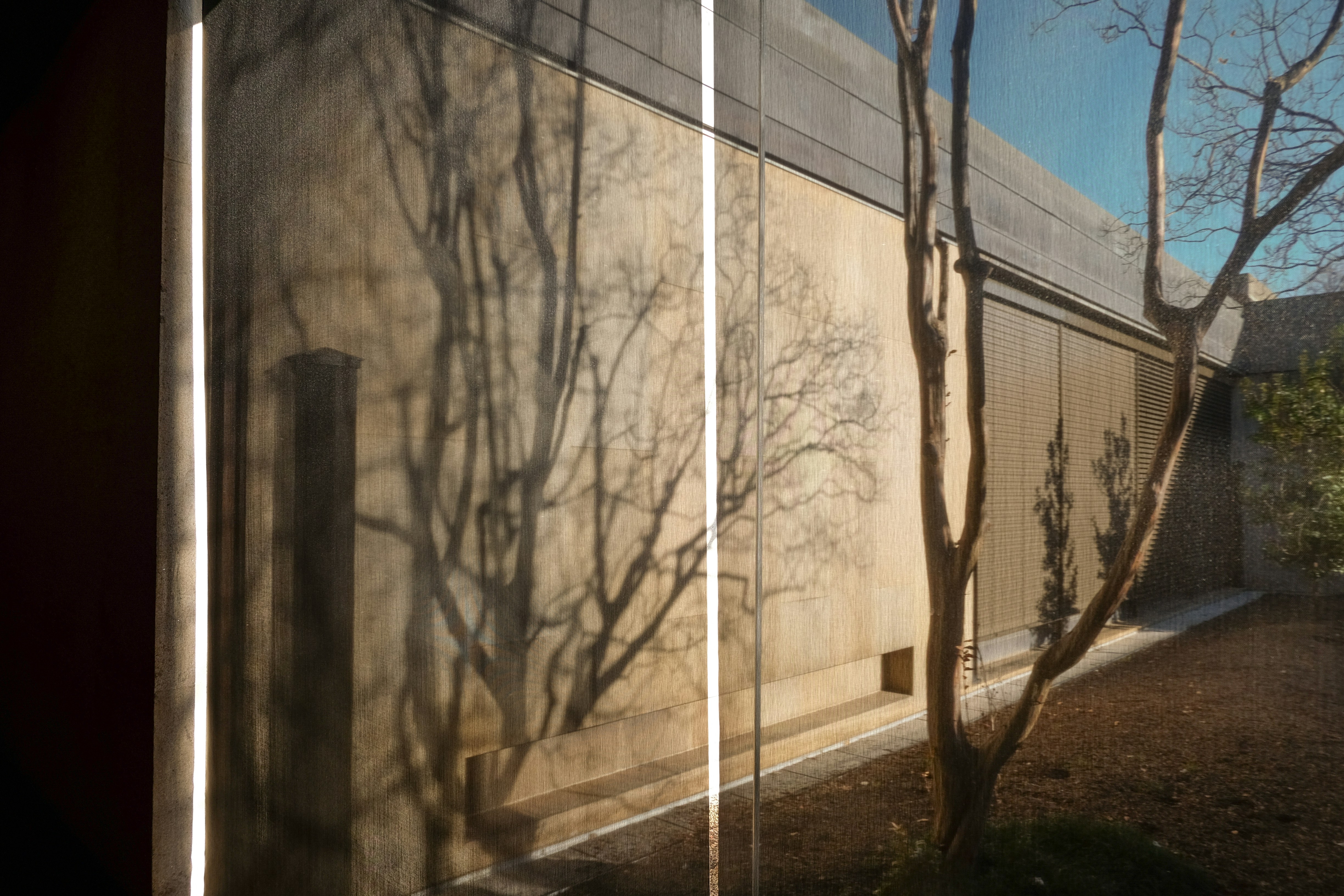 Photo by noelephantsflying