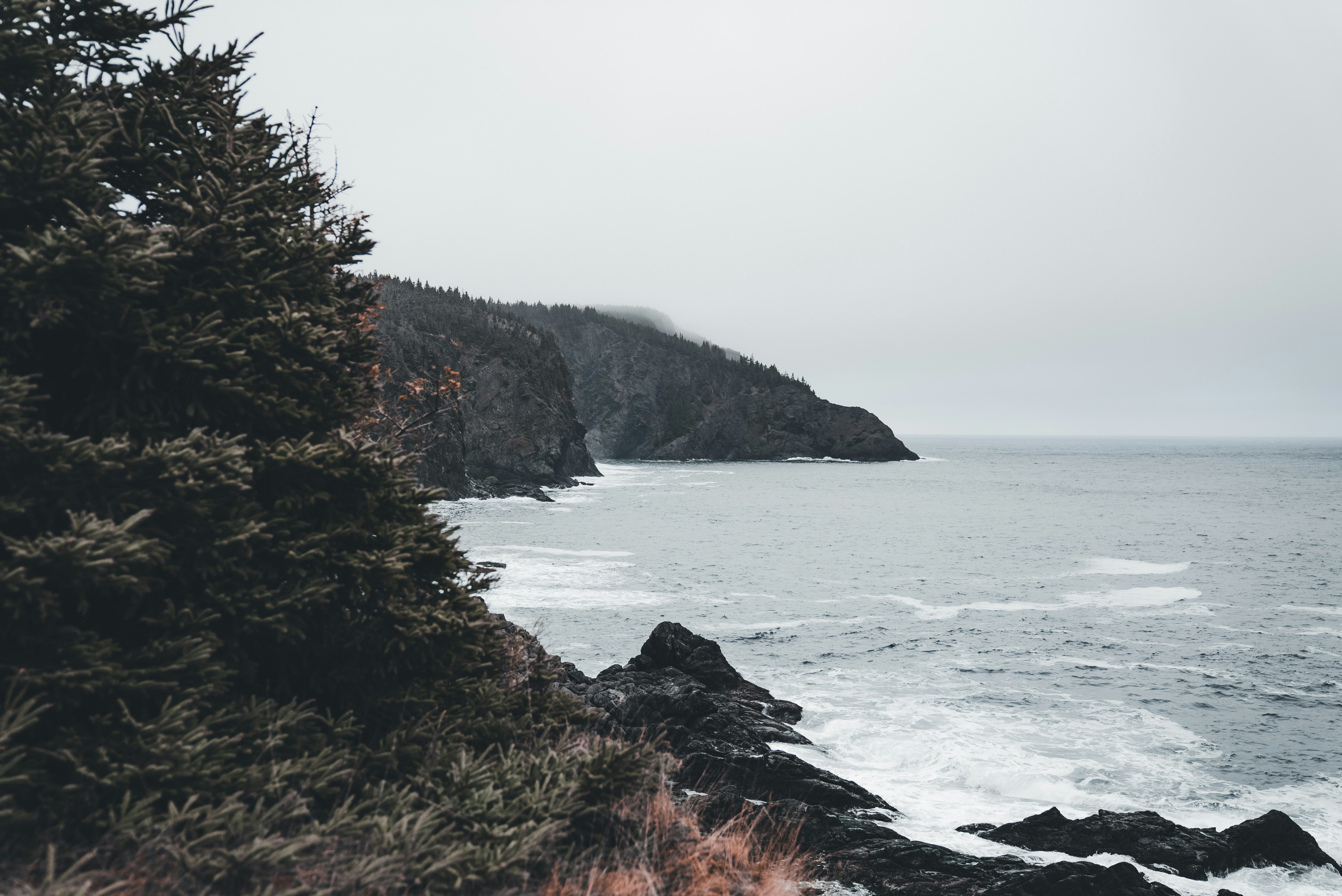 Photo by introspectivedsgn