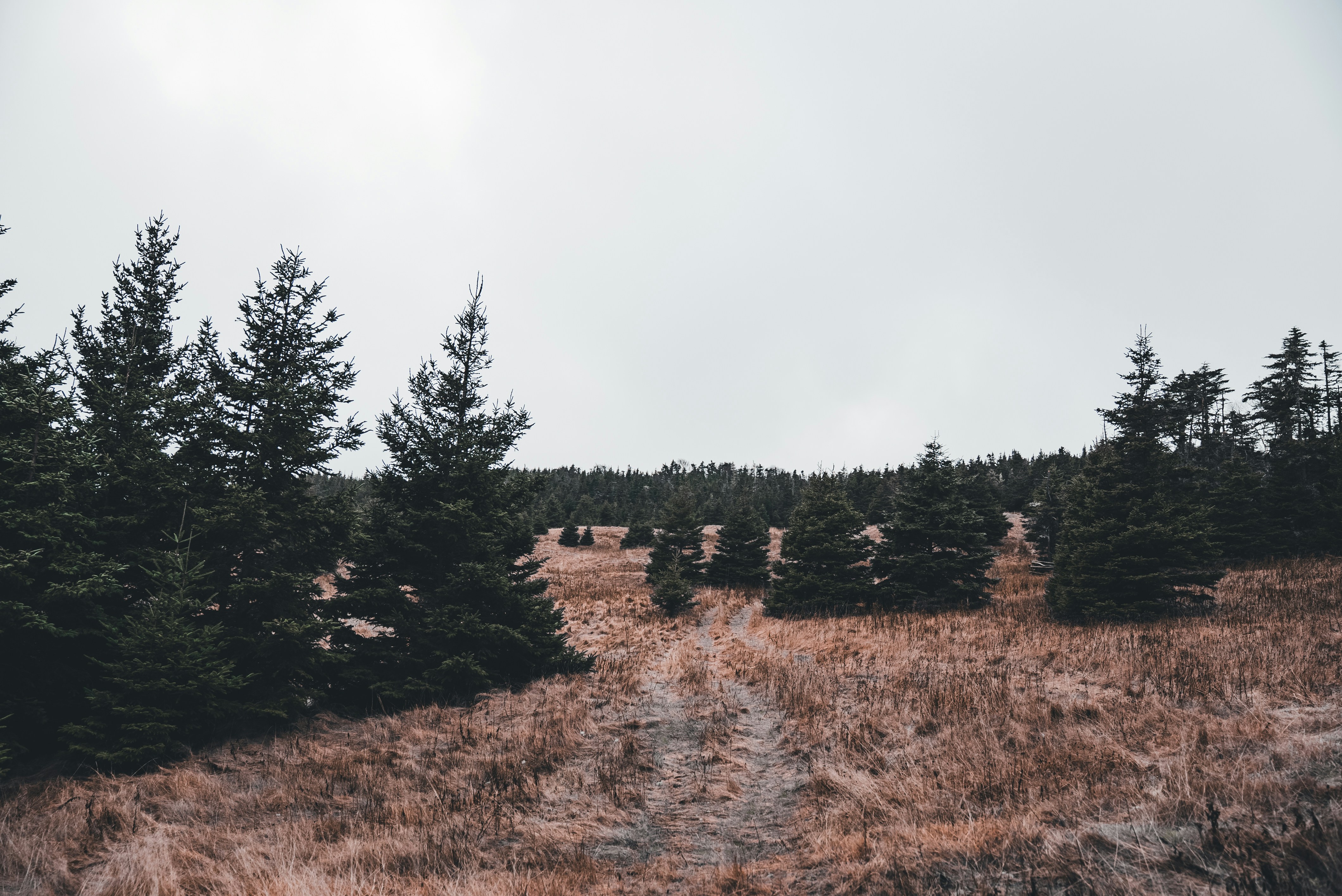 Photo by introspectivedsgn