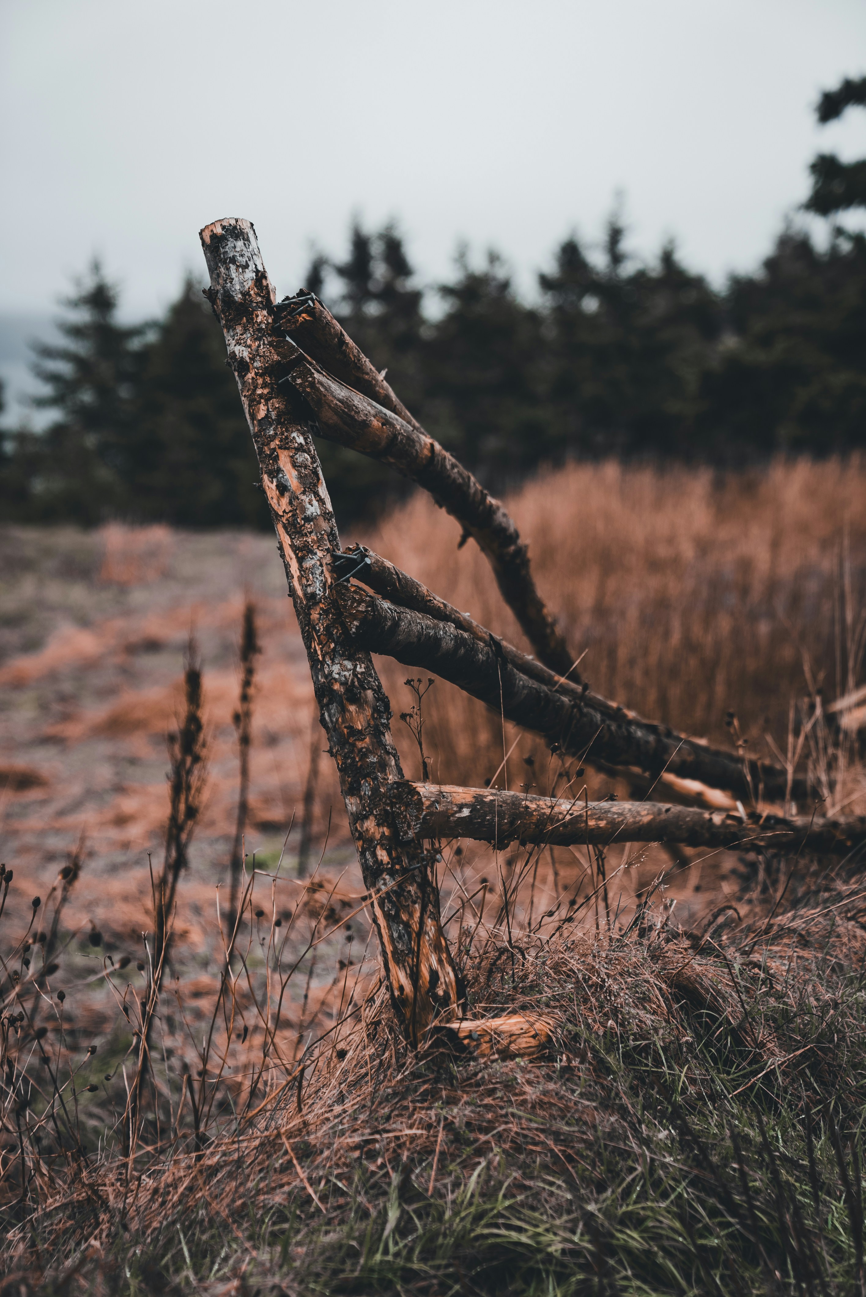 Weathered broken timber fence