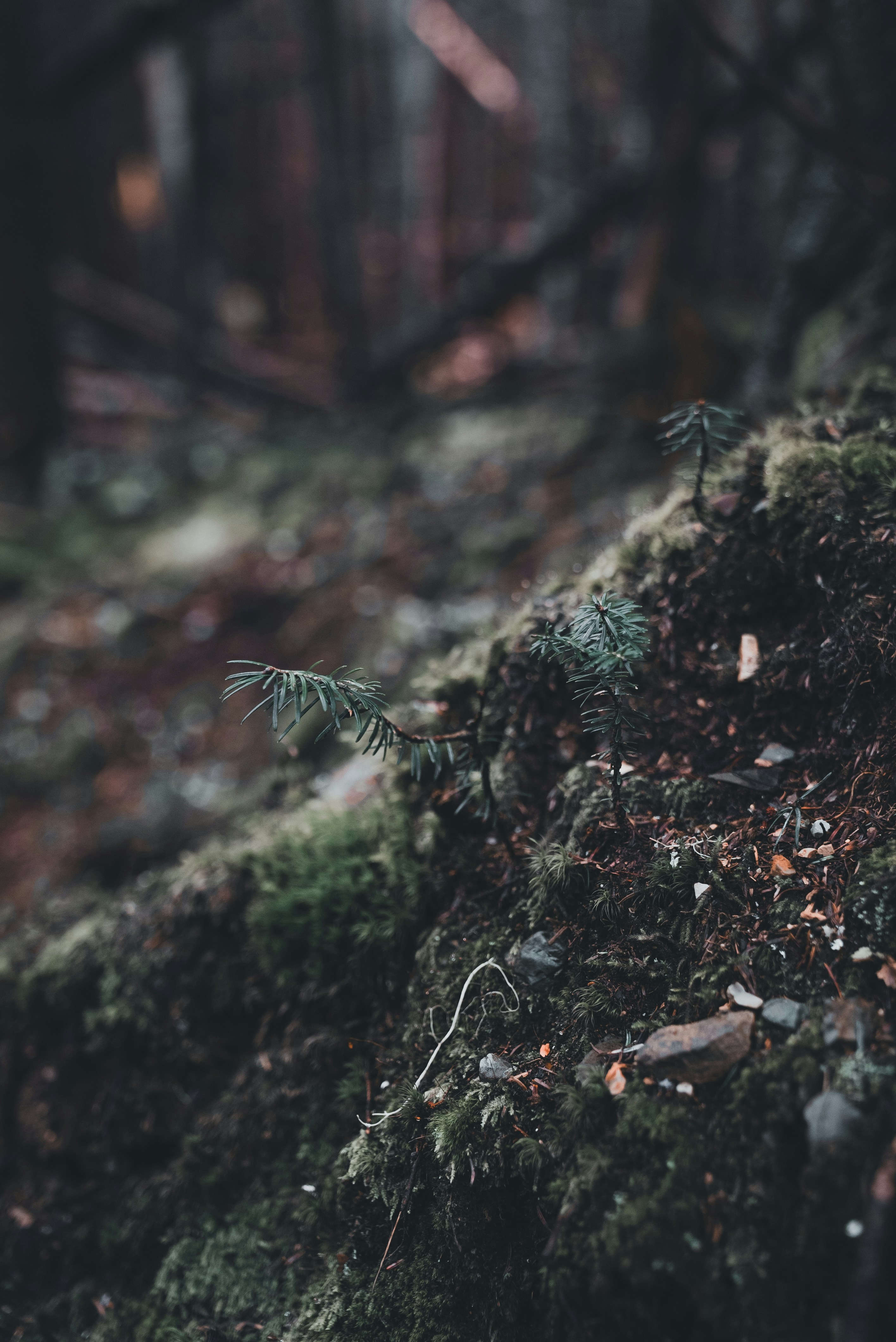 Photo by introspectivedsgn