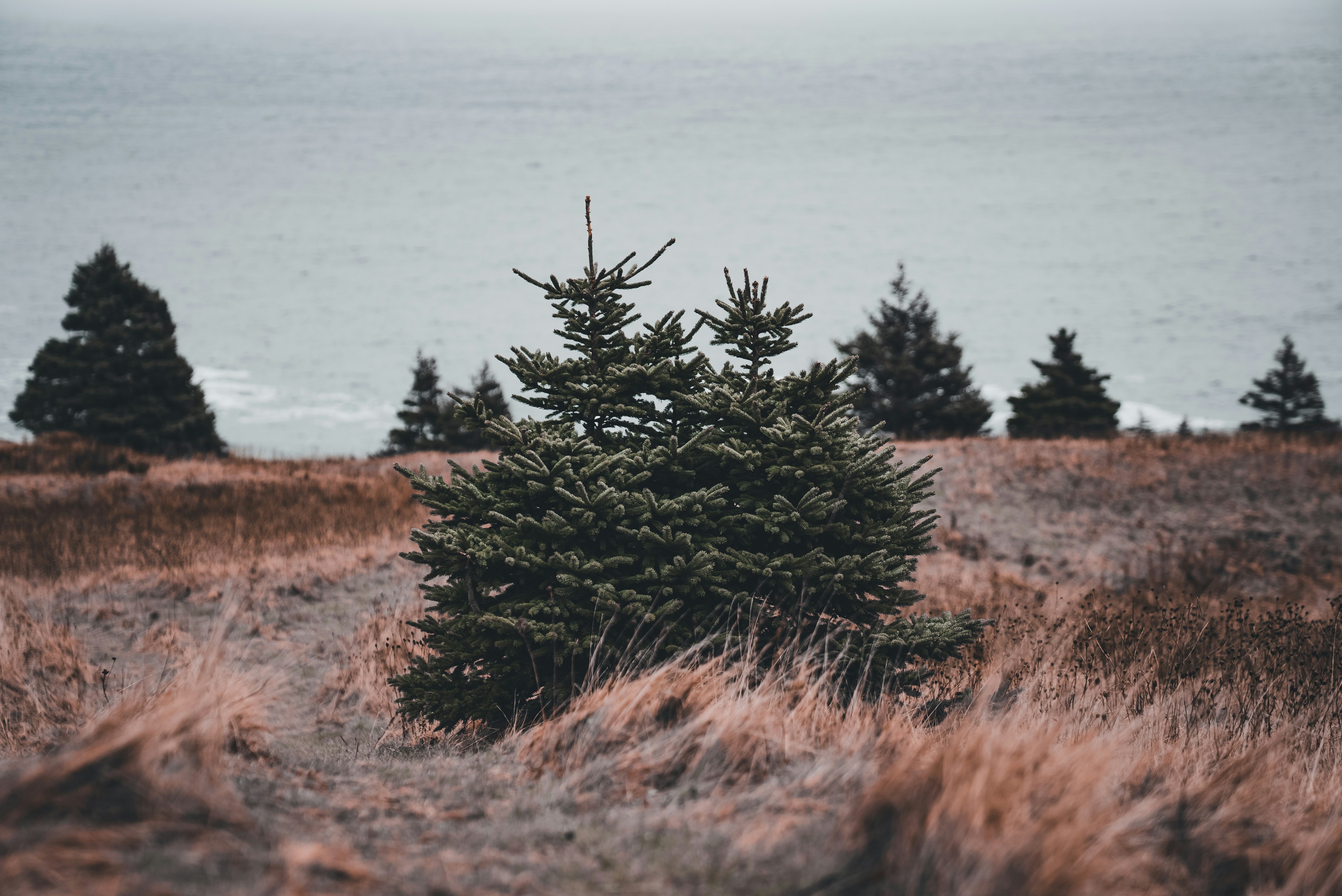 Photo by introspectivedsgn