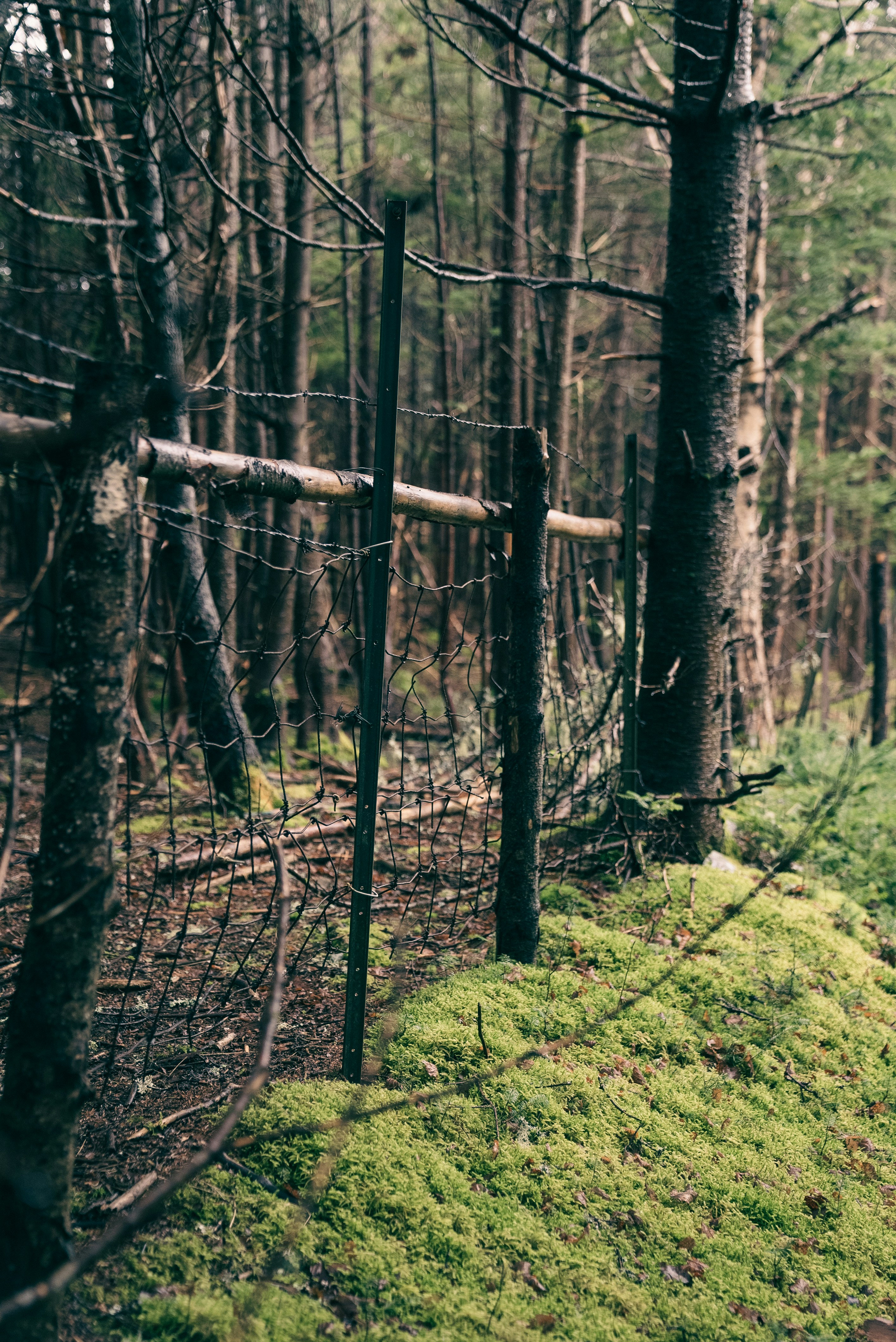 Photo by introspectivedsgn