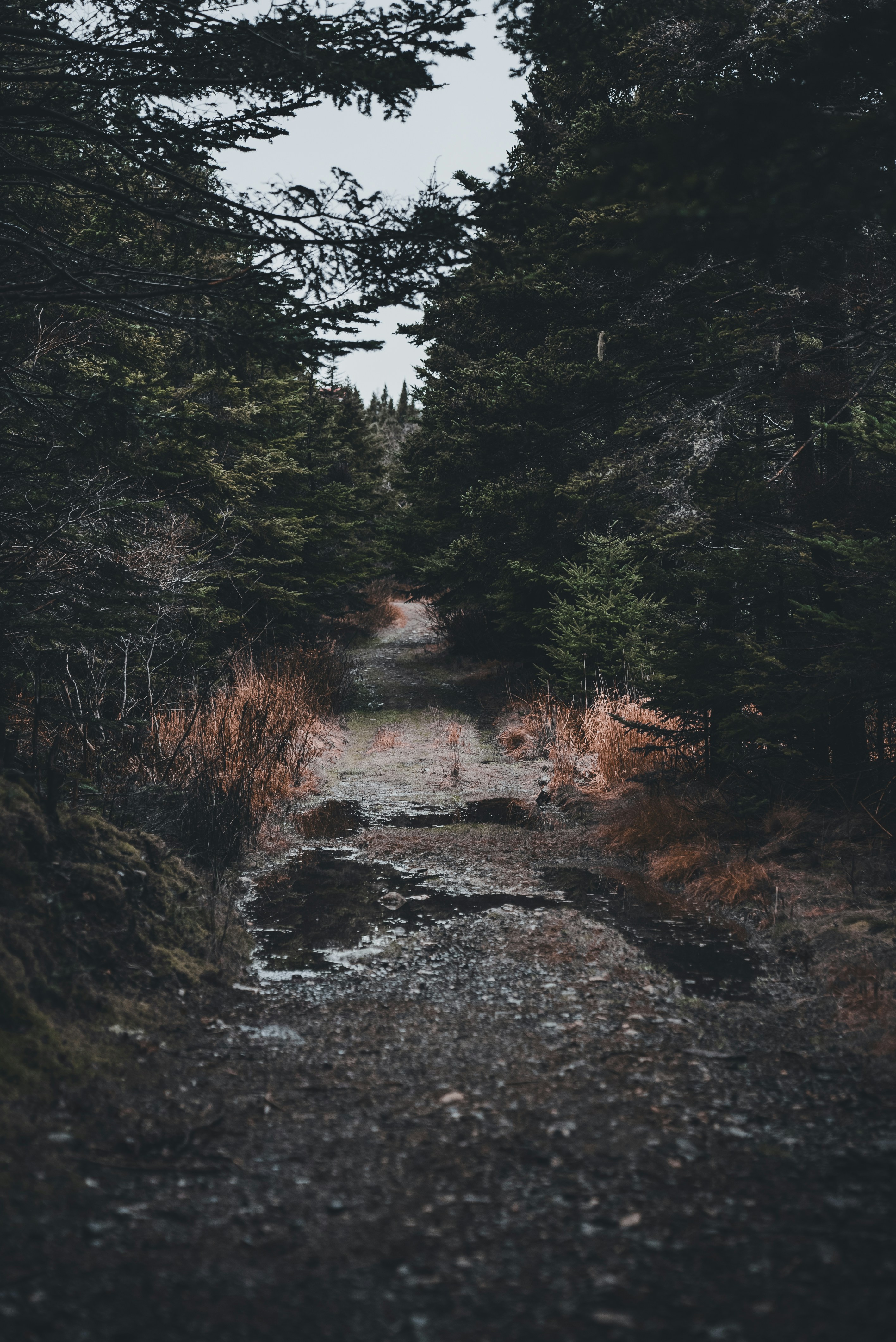 Photo by introspectivedsgn