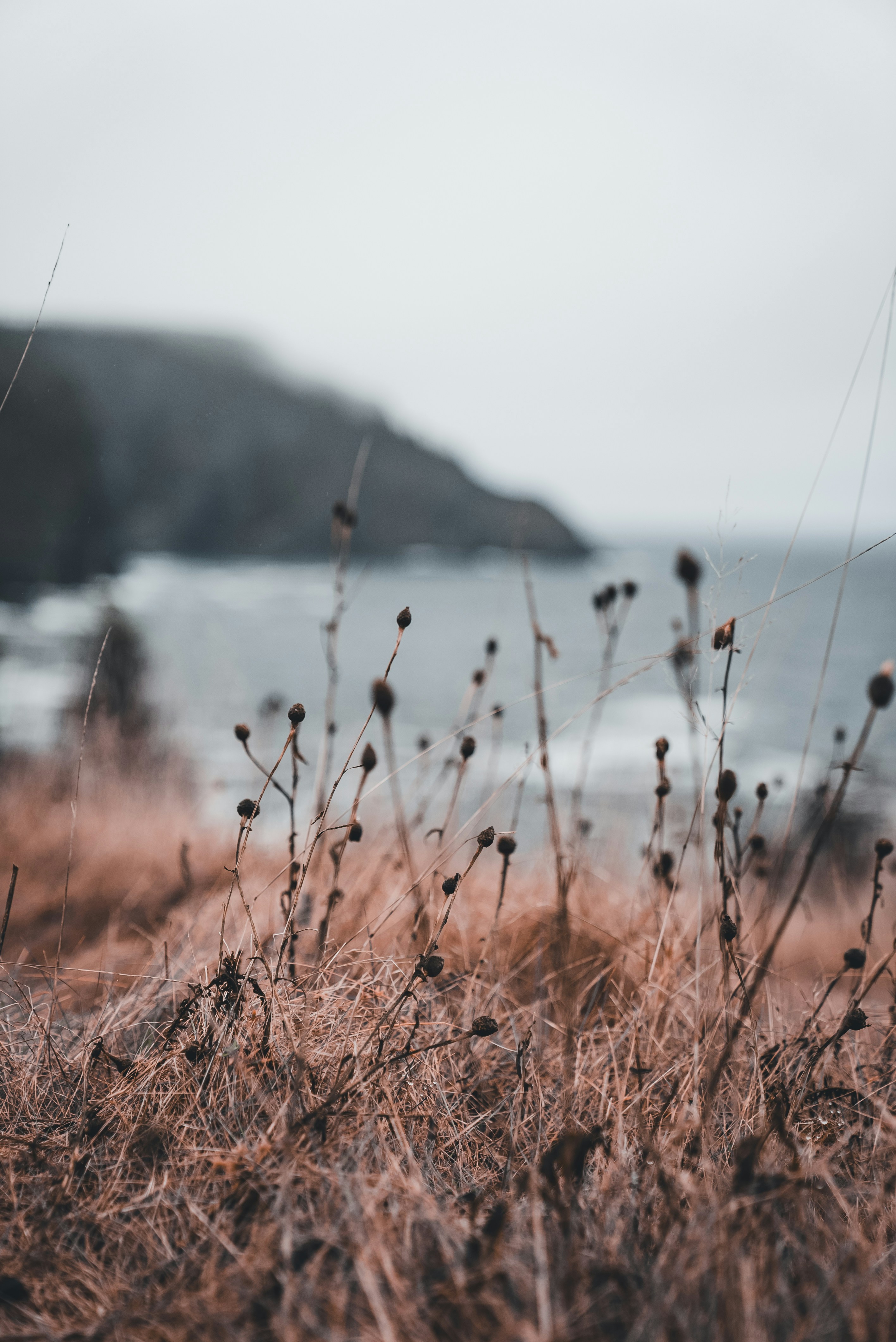 Photo by introspectivedsgn