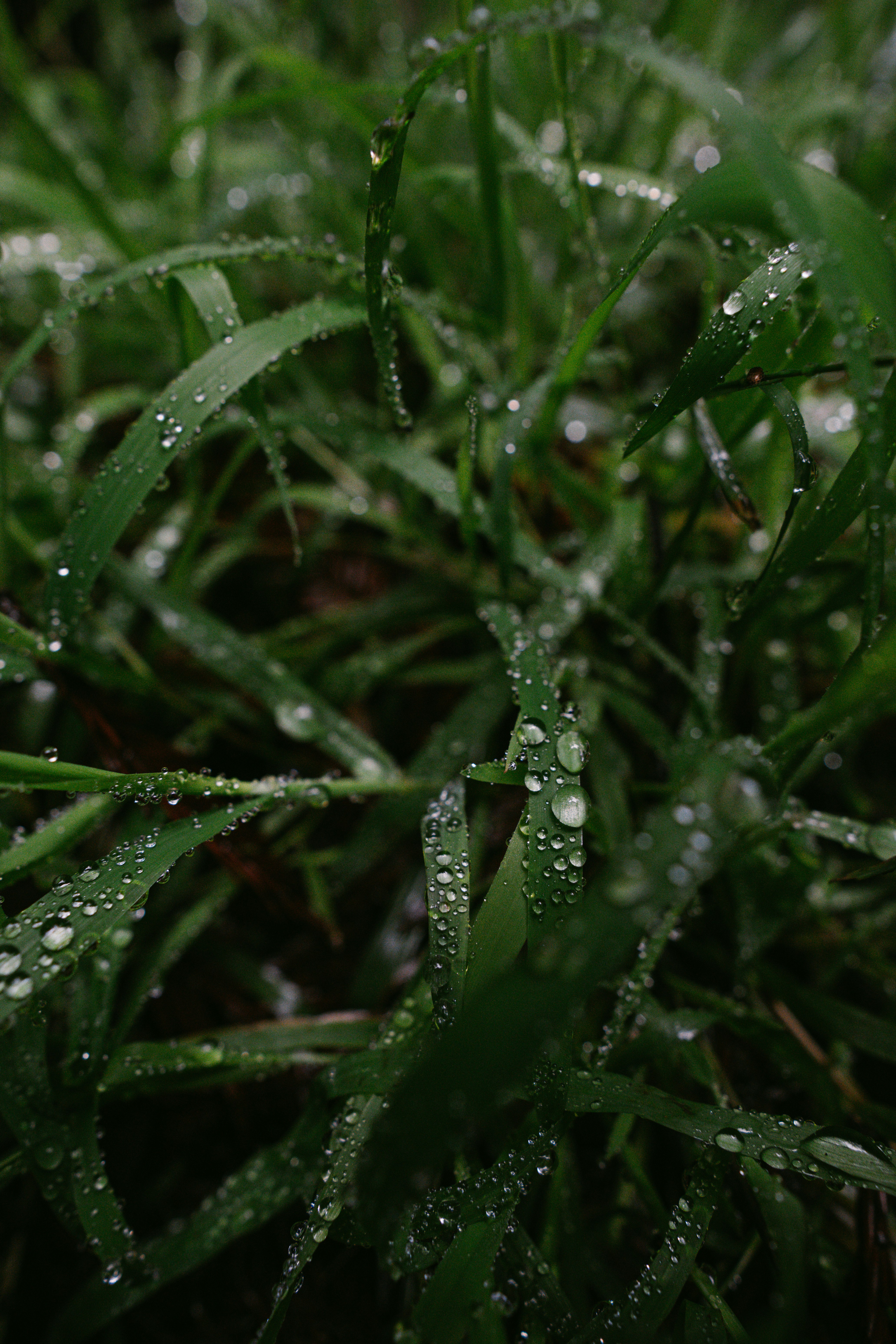 Photo by christopherstites