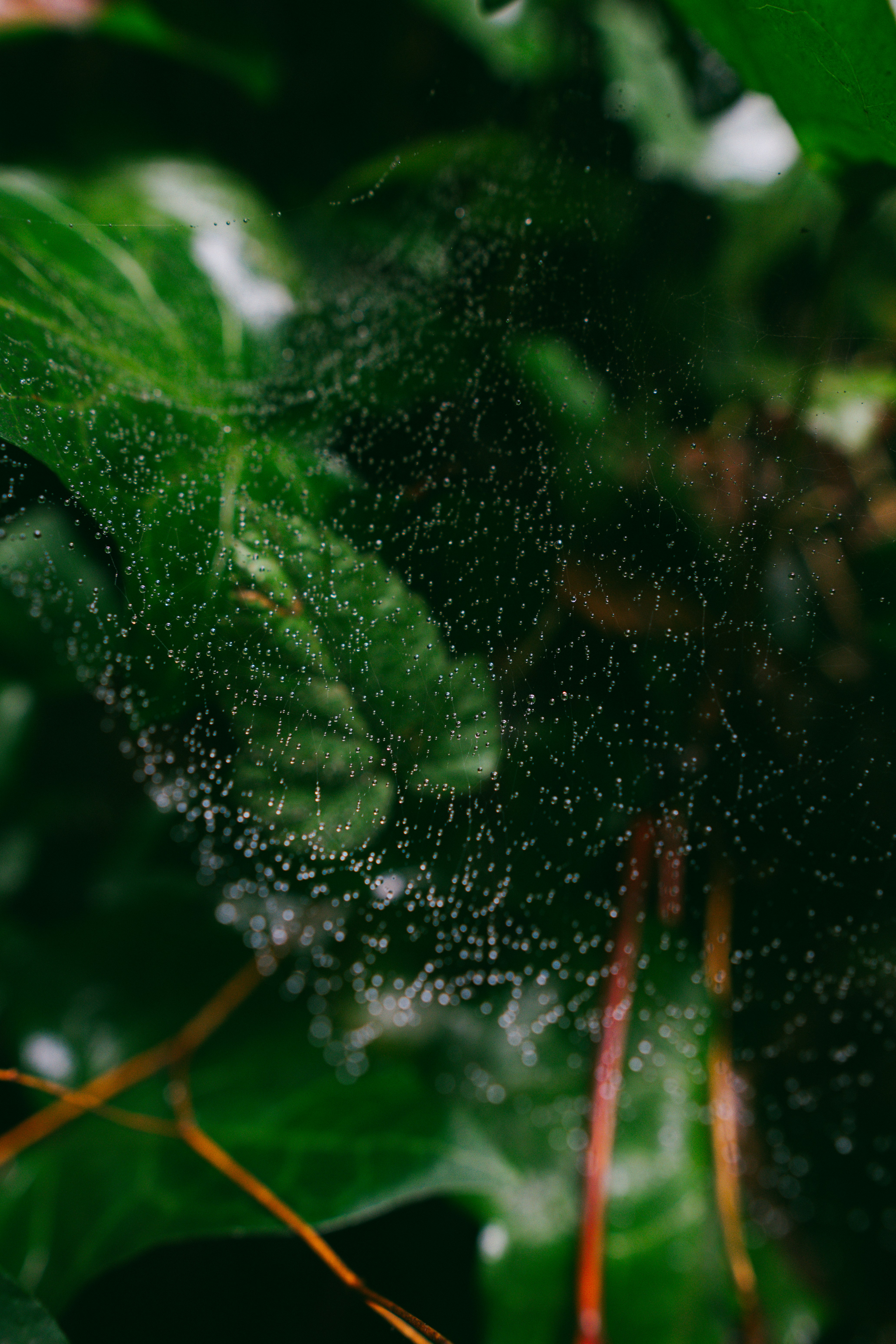 Photo by christopherstites