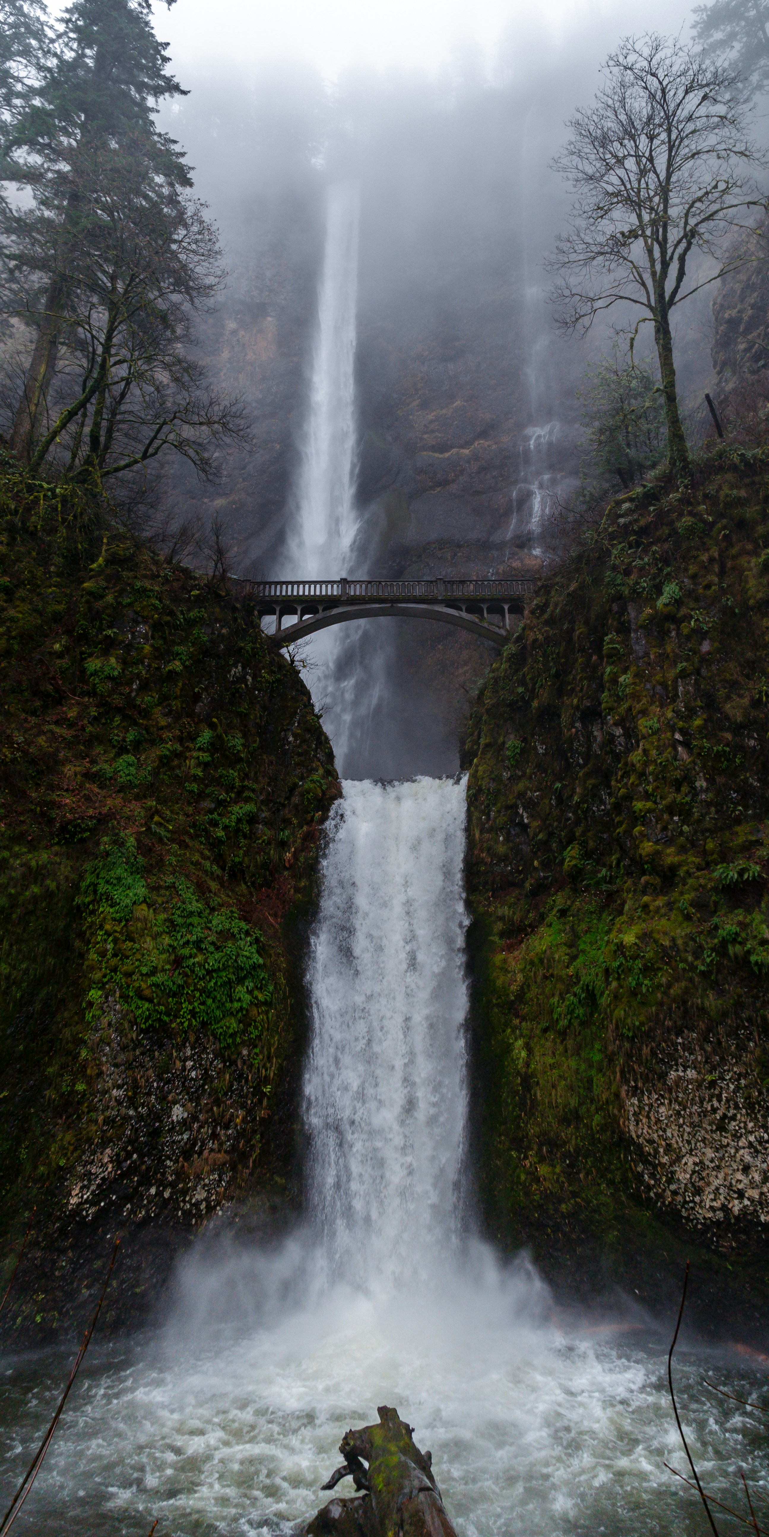 Photo by jamessestric