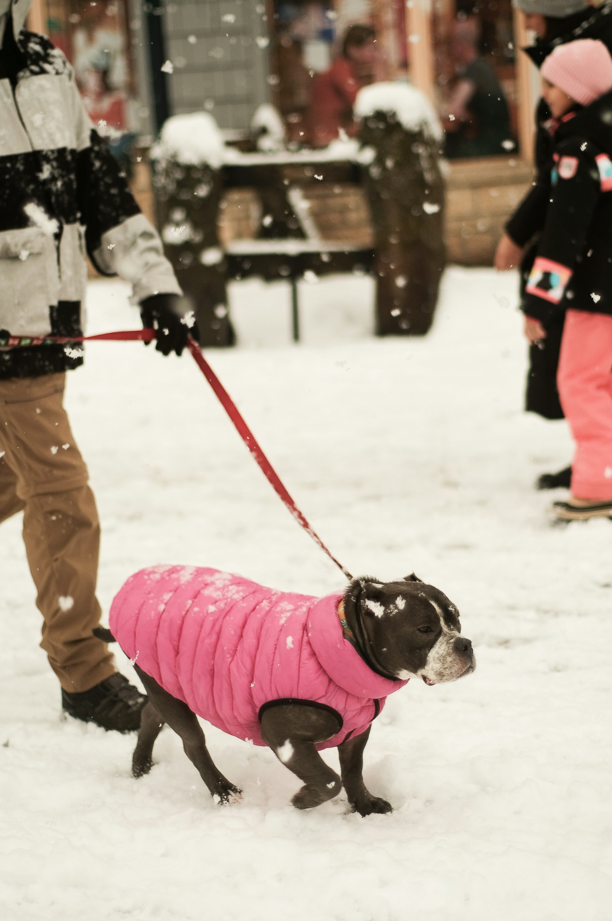 A man walking a dog in the snow