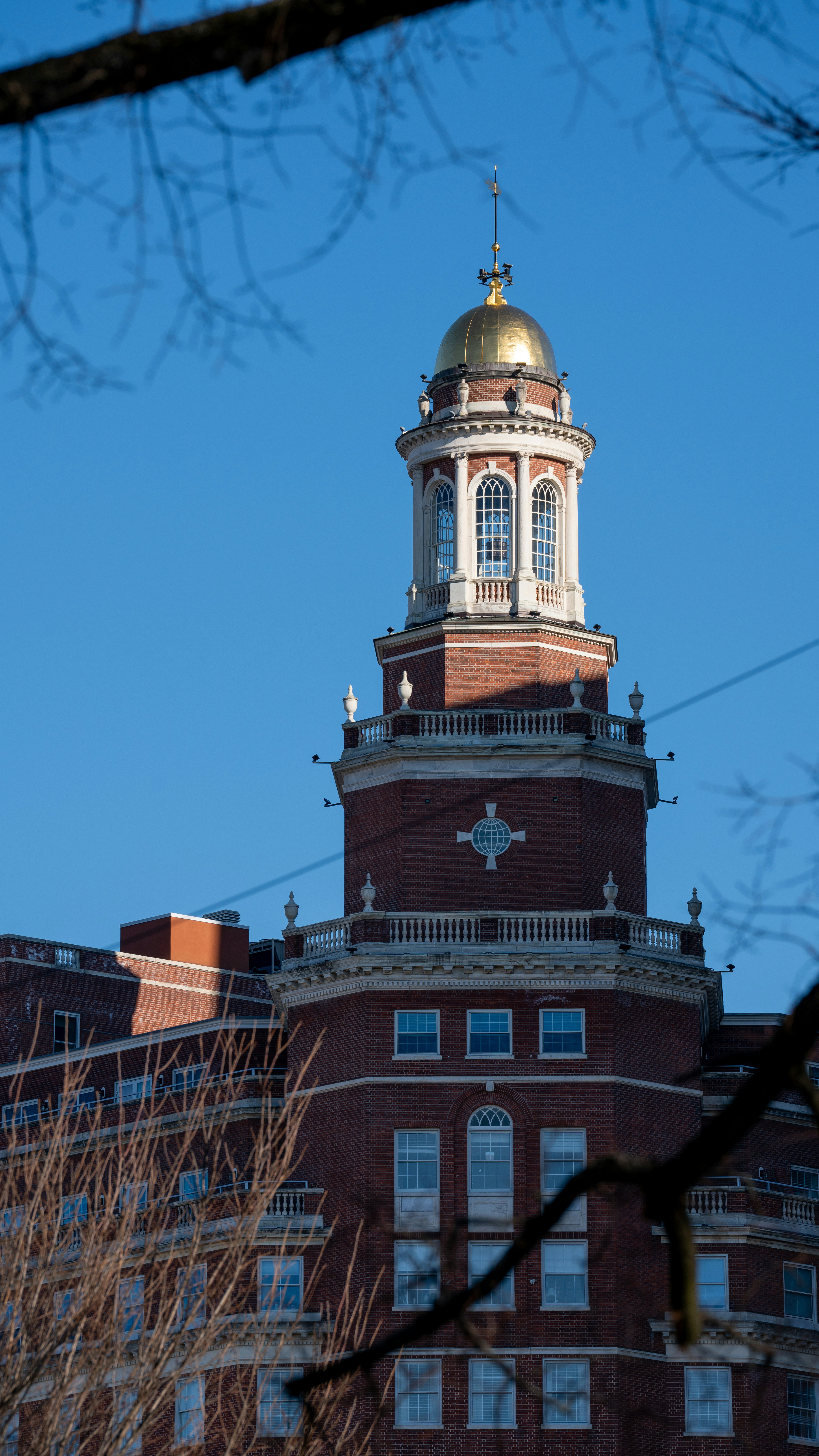 Photo by oculareuphoria