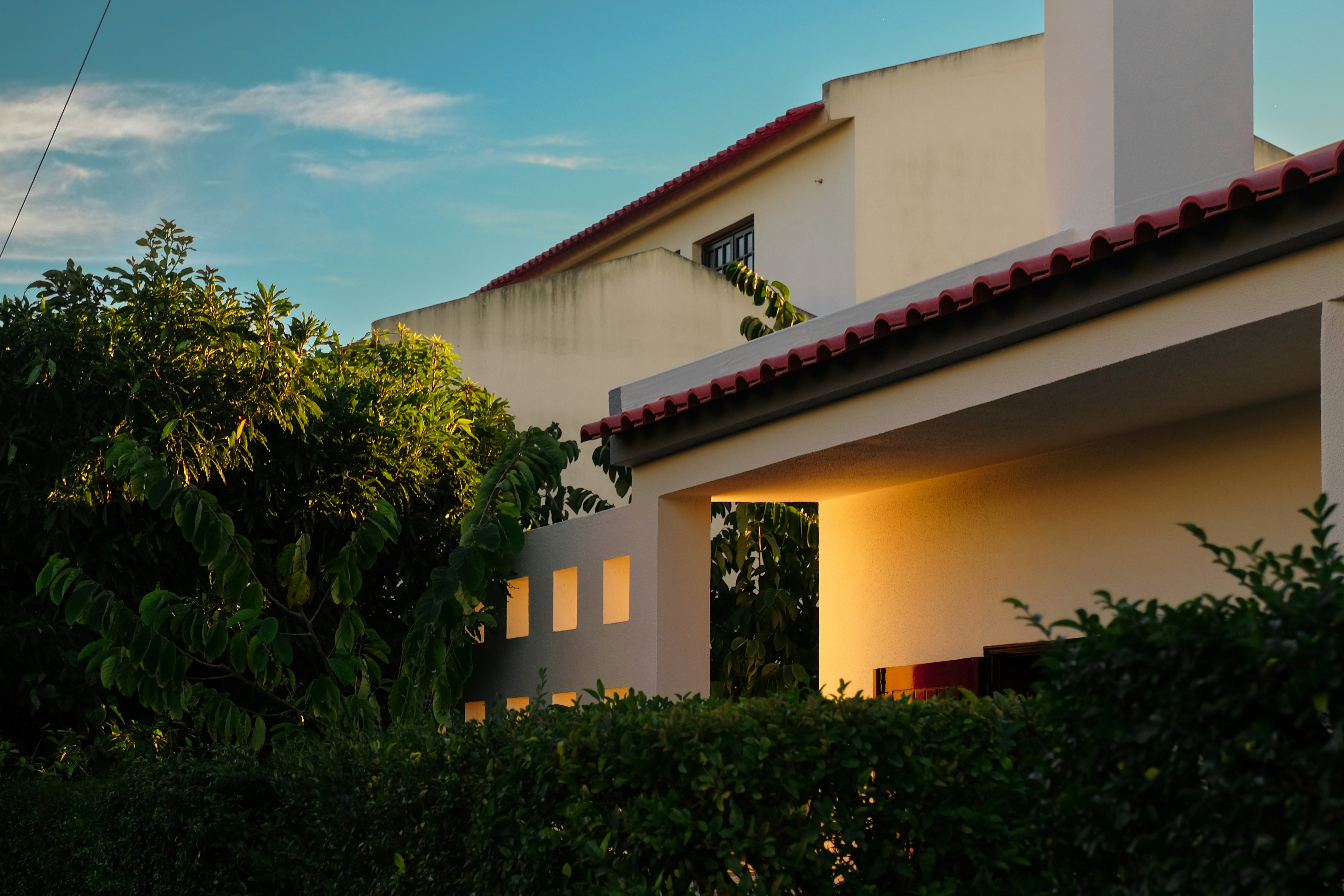 Photo by noelephantsflying