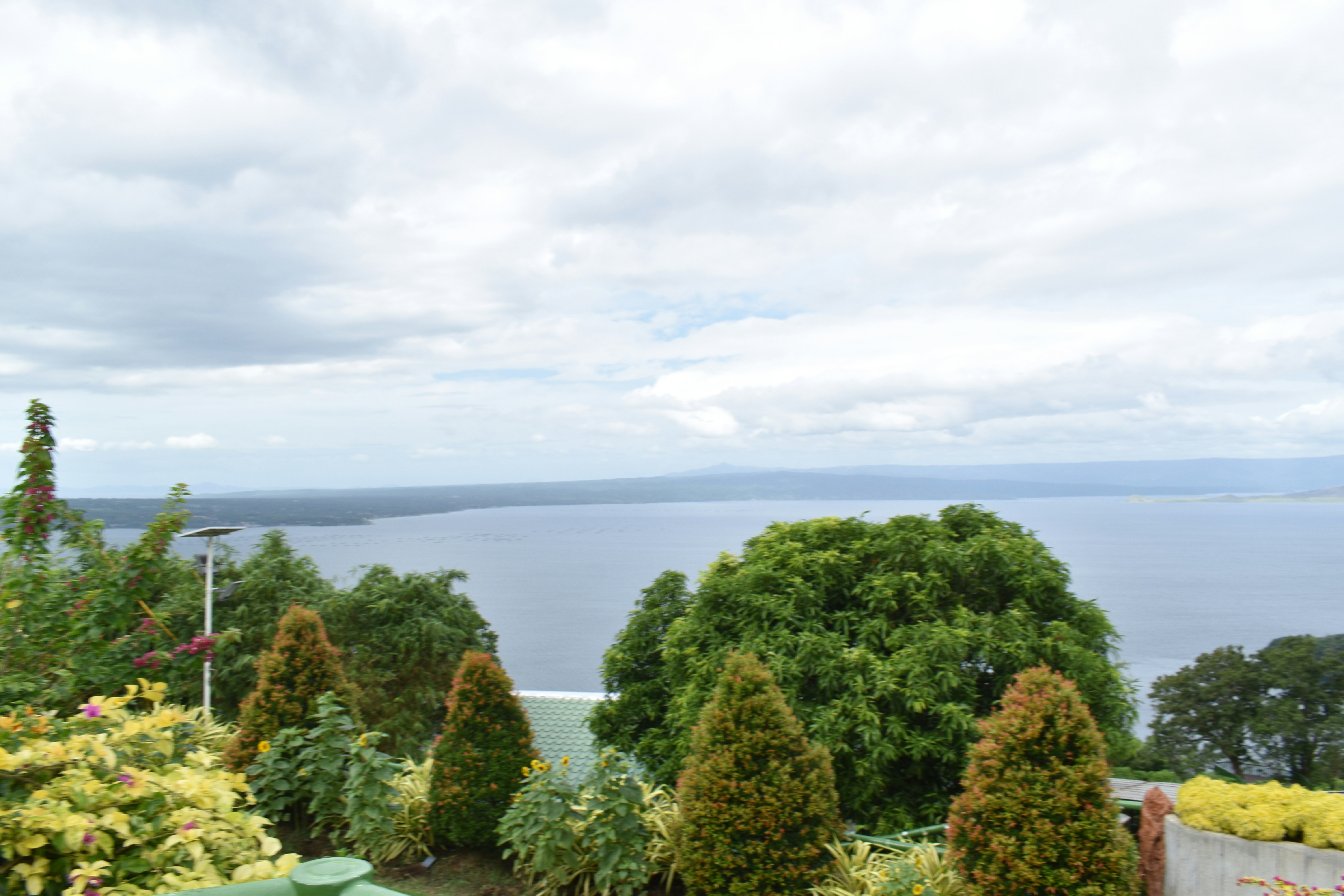 A view of a lush green park with a lake in the background