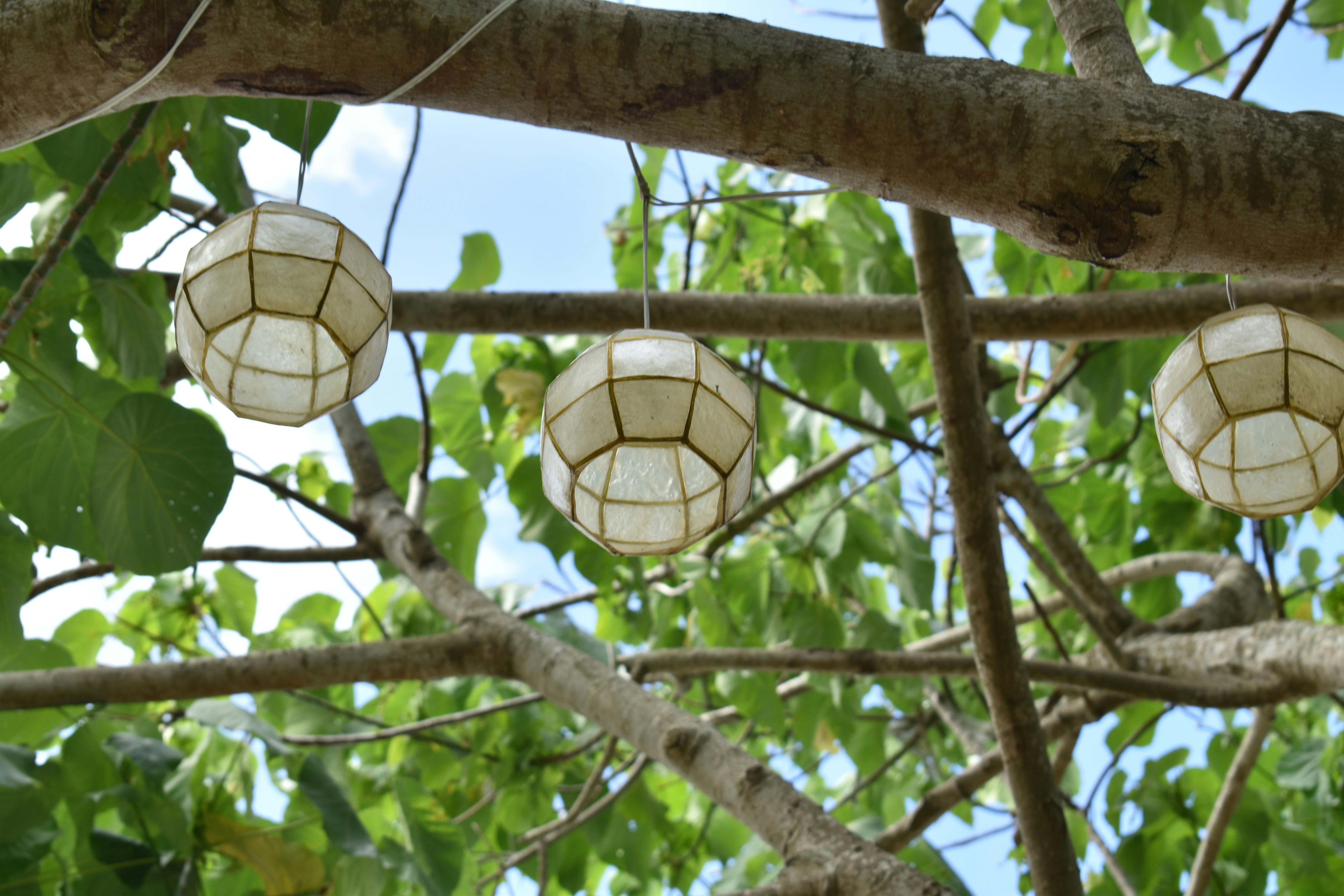 Photo by johannescls