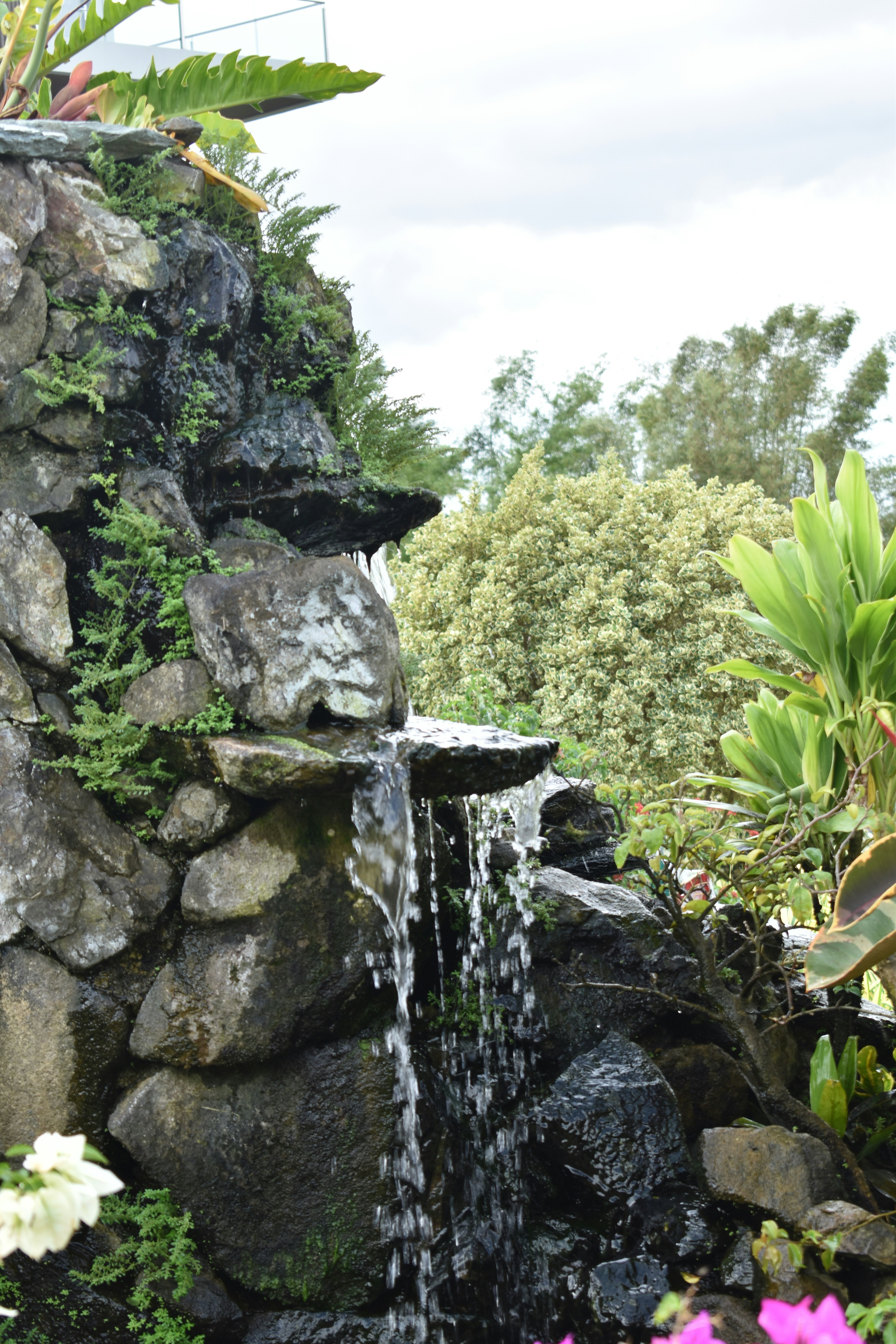 Photo by johannescls