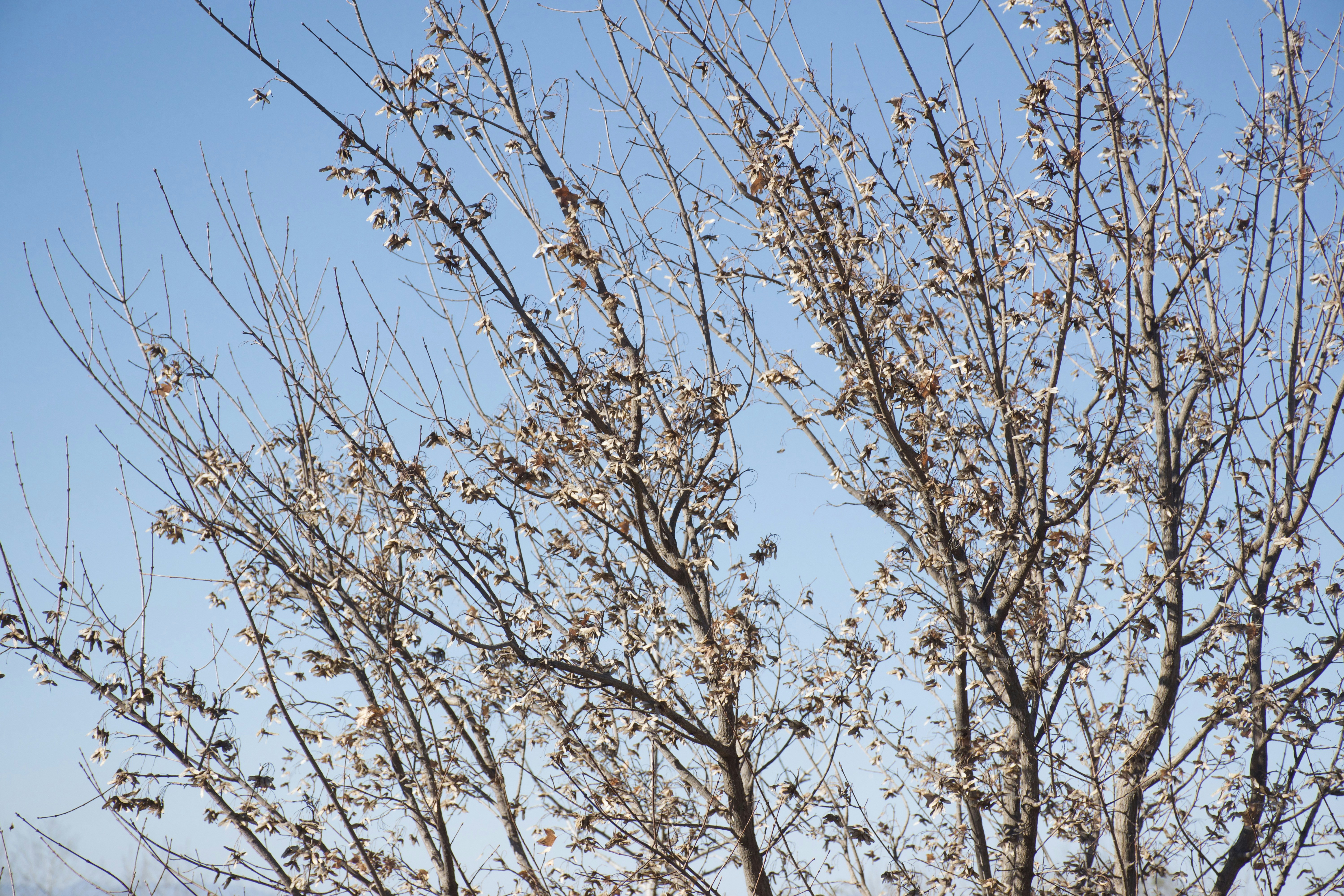 Photo by otfot