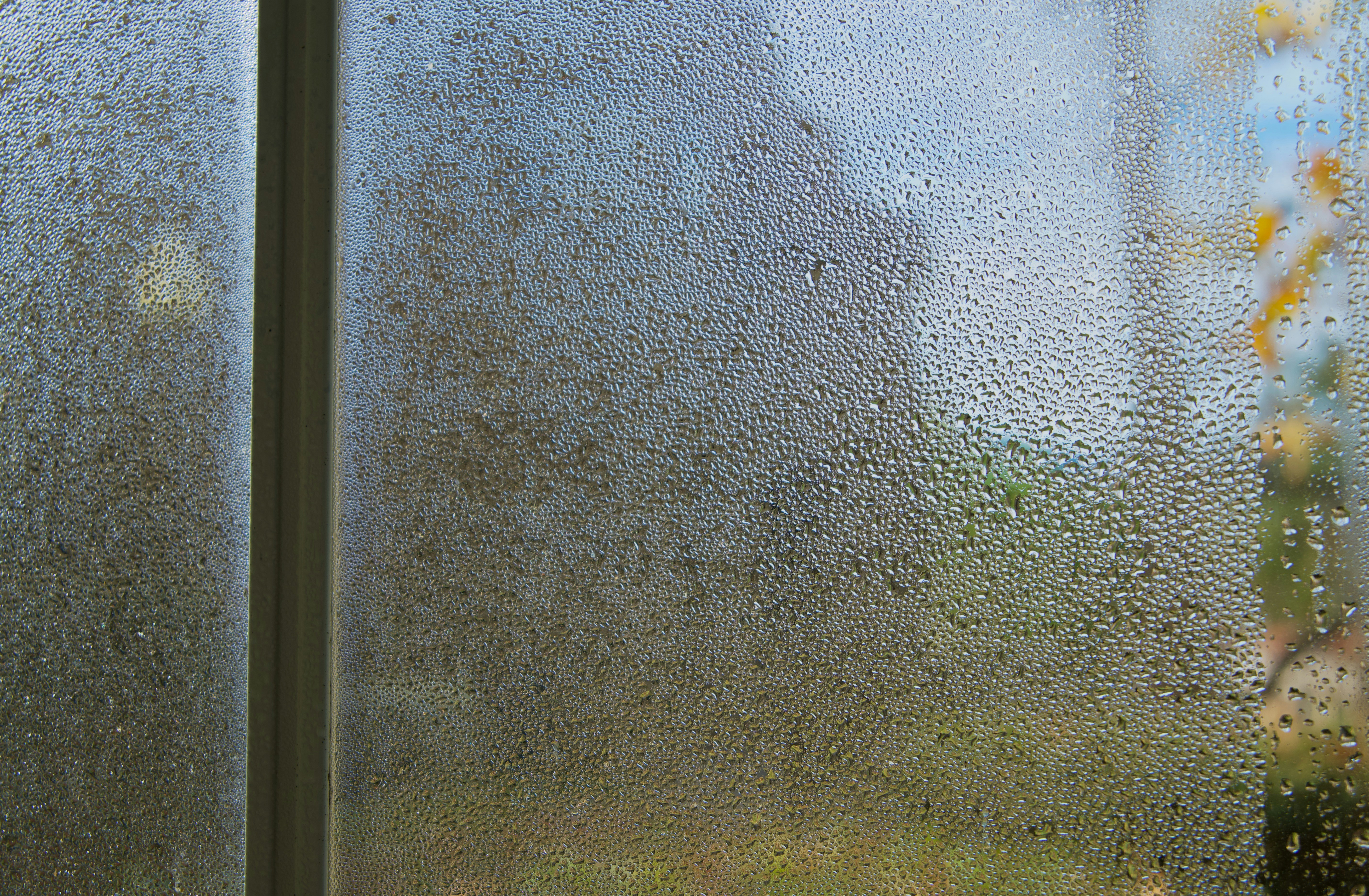 CITY CLEAN JOLANTA DINDORF