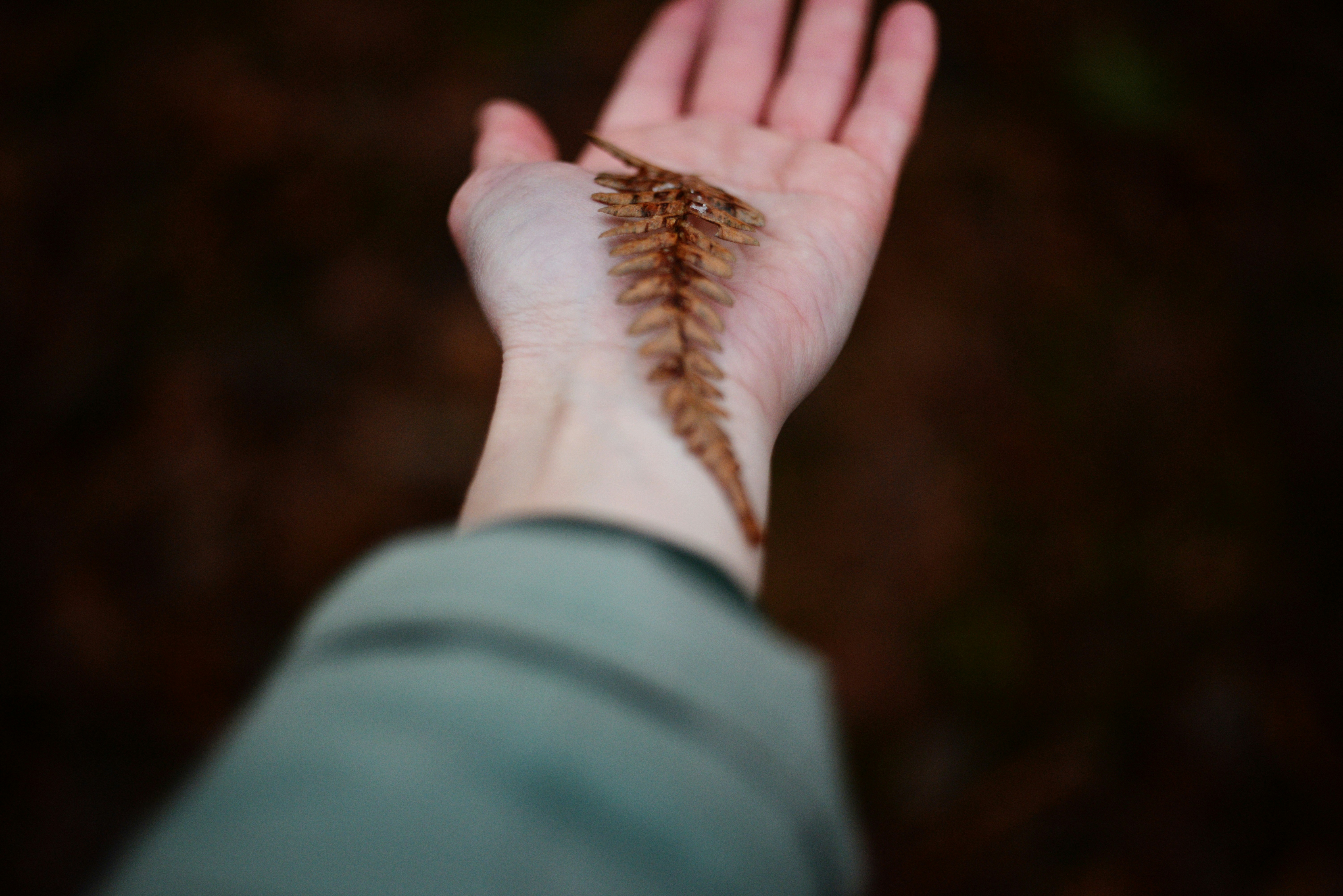 Photo by cherstve_pechivo