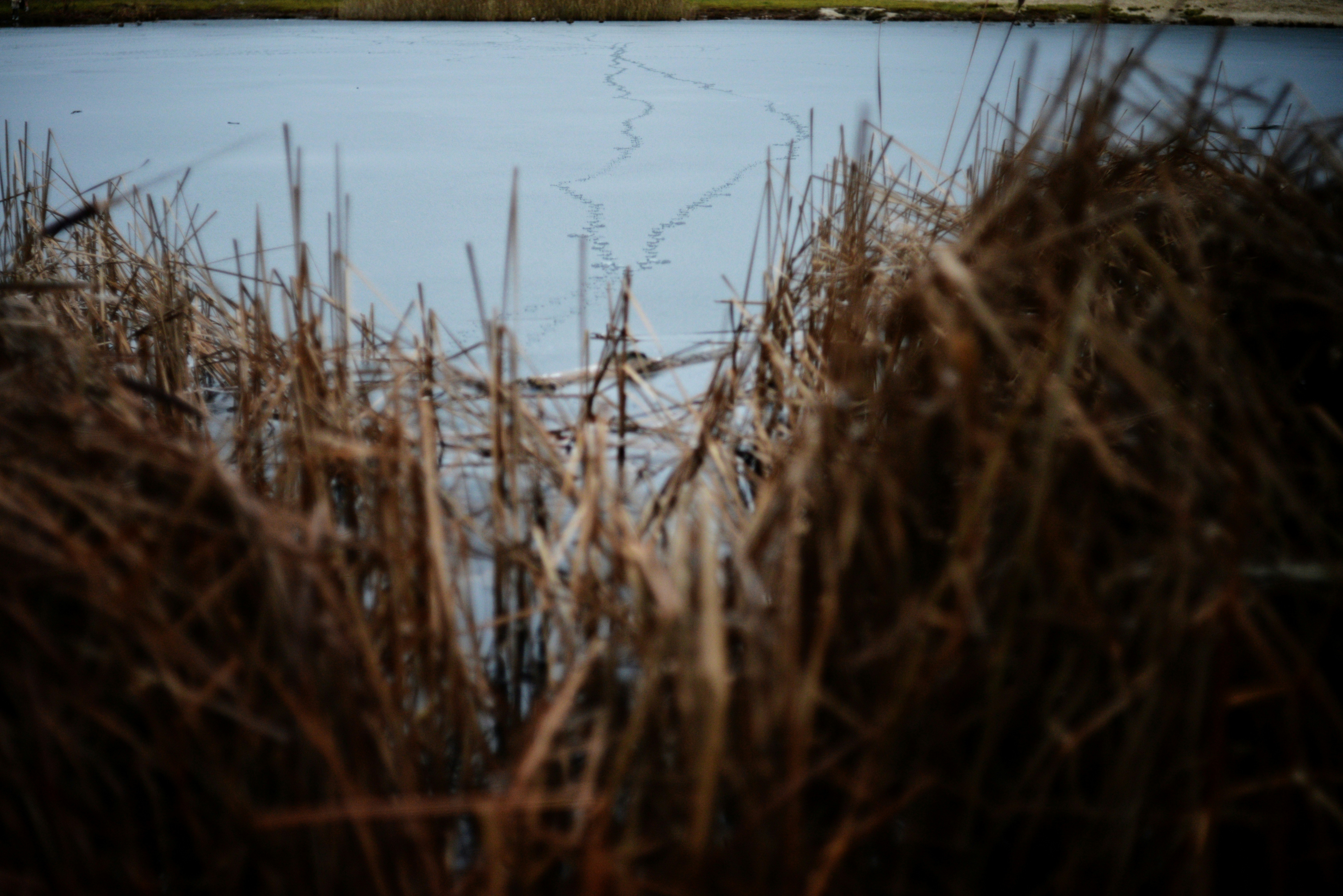 Photo by cherstve_pechivo