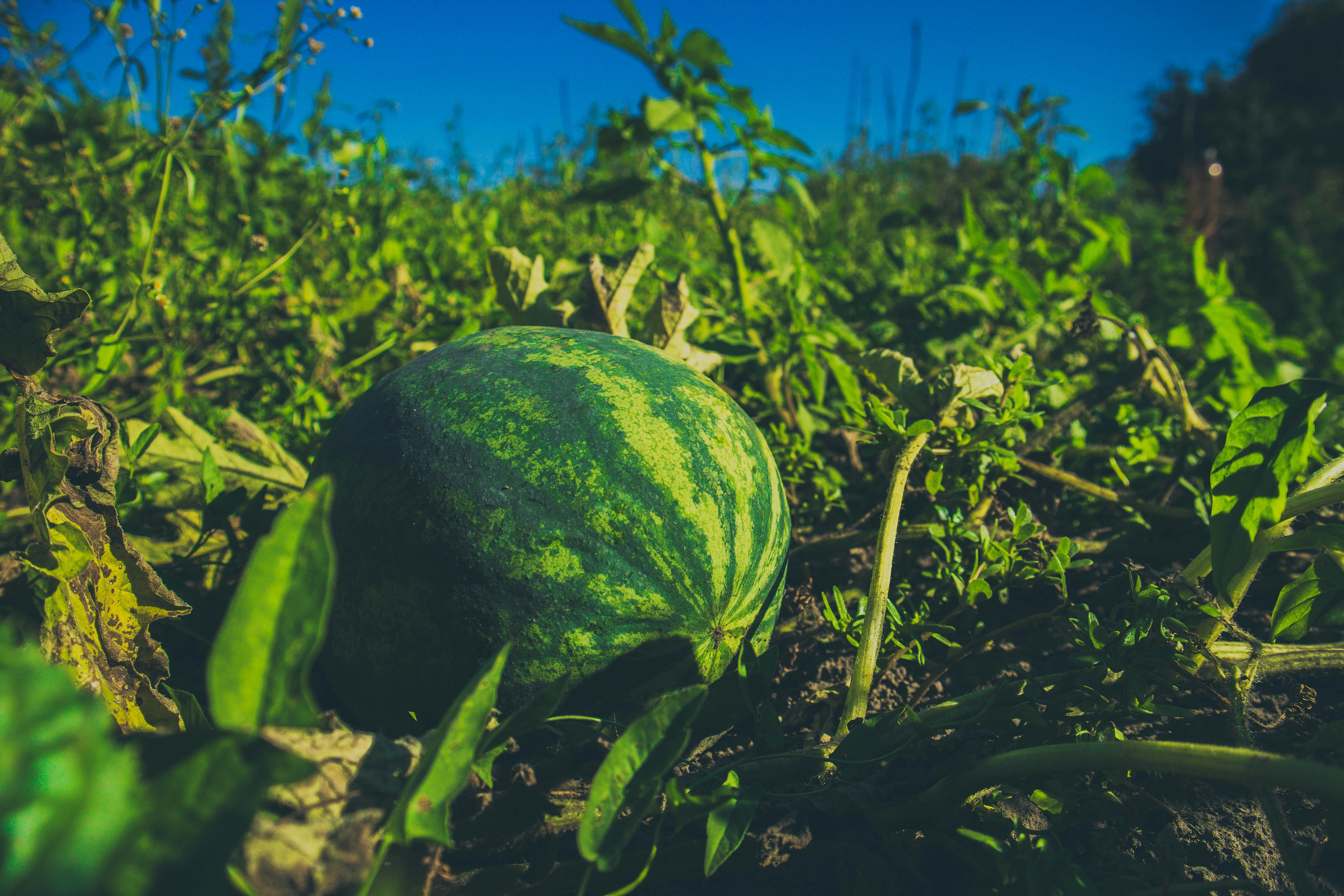 Field Guide: Compact Cameras for Site Documentation — 2026 Picks for Estimators