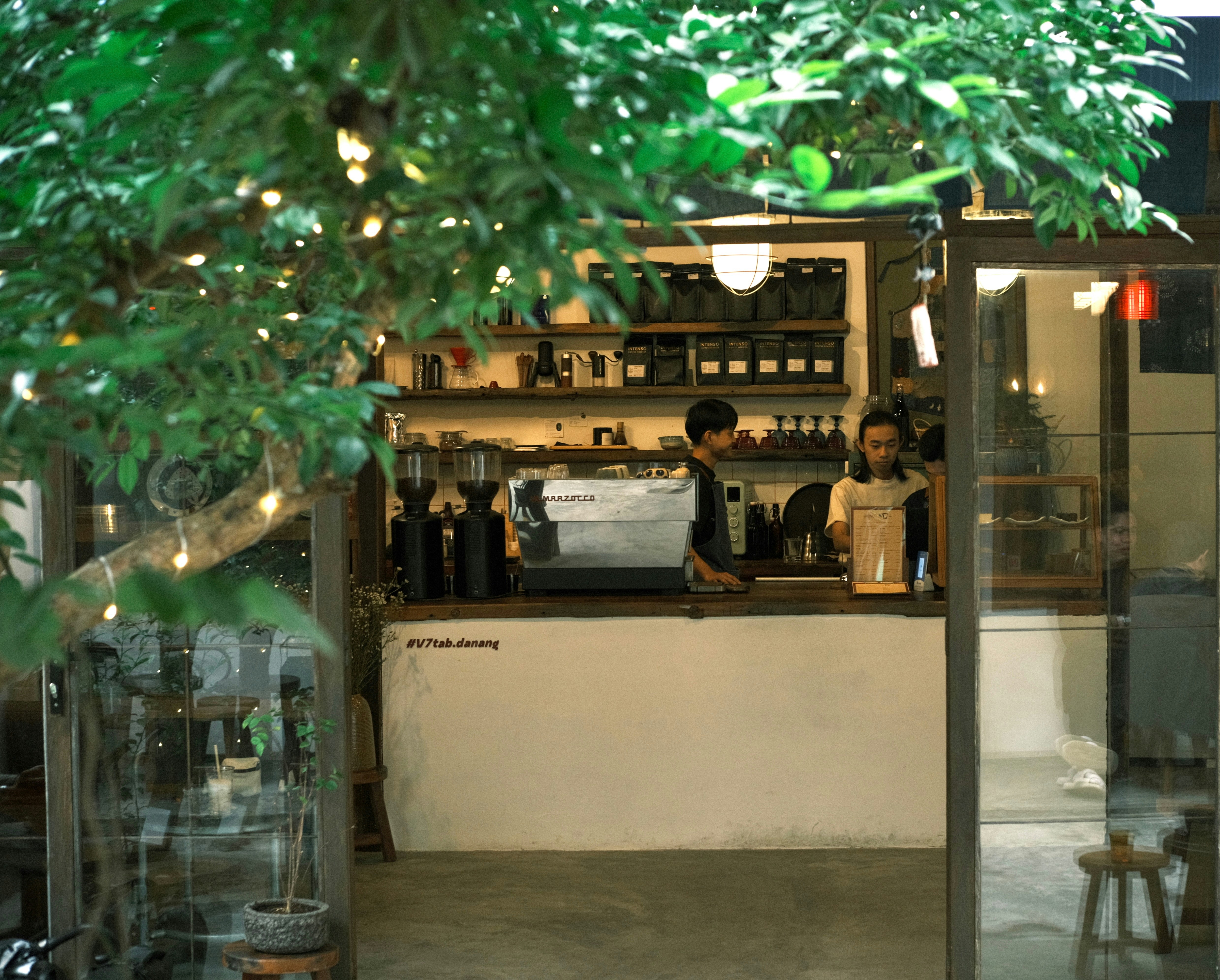 Photo by dvhoang2106