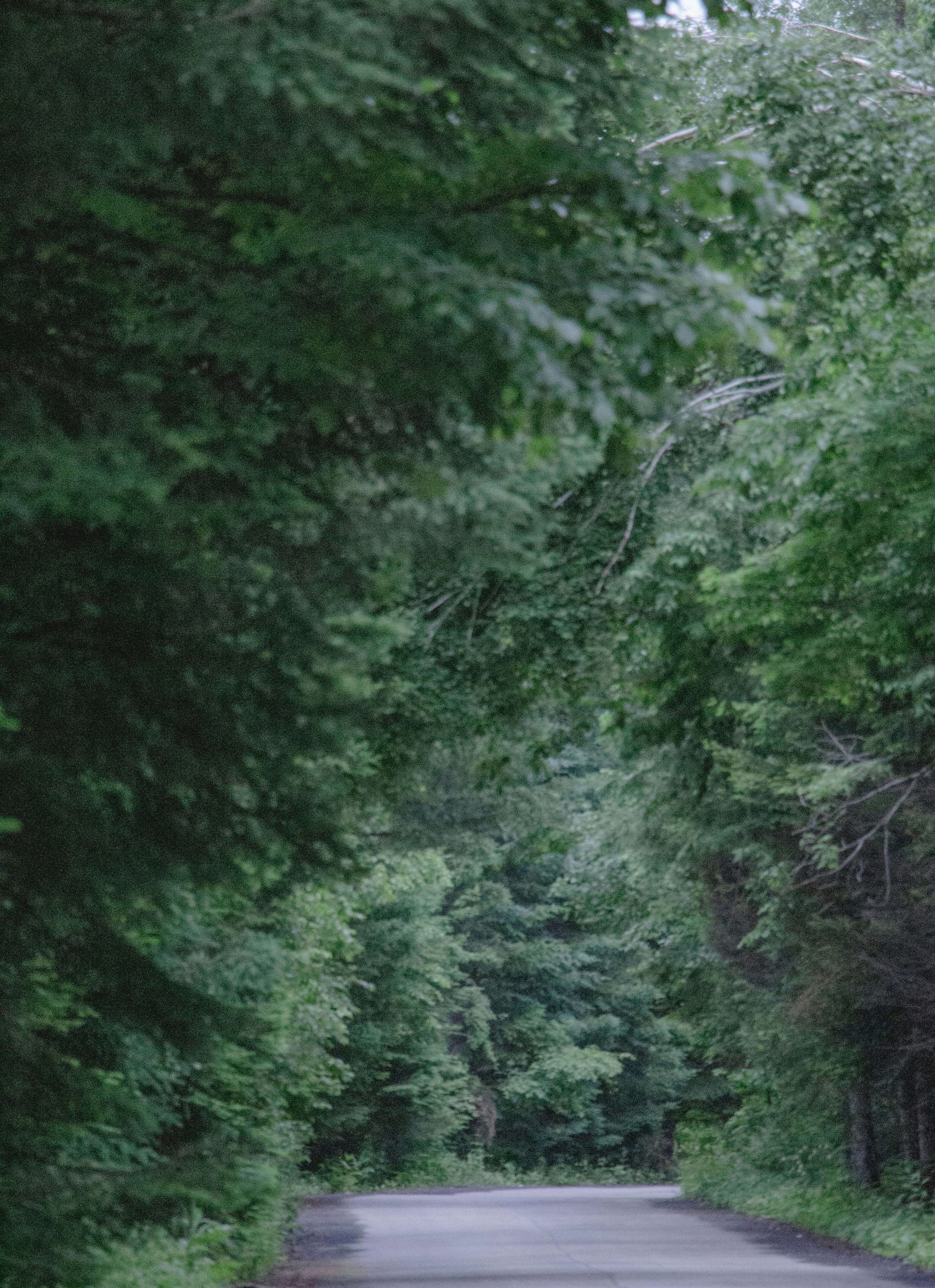 Photo by maro_of_sengu