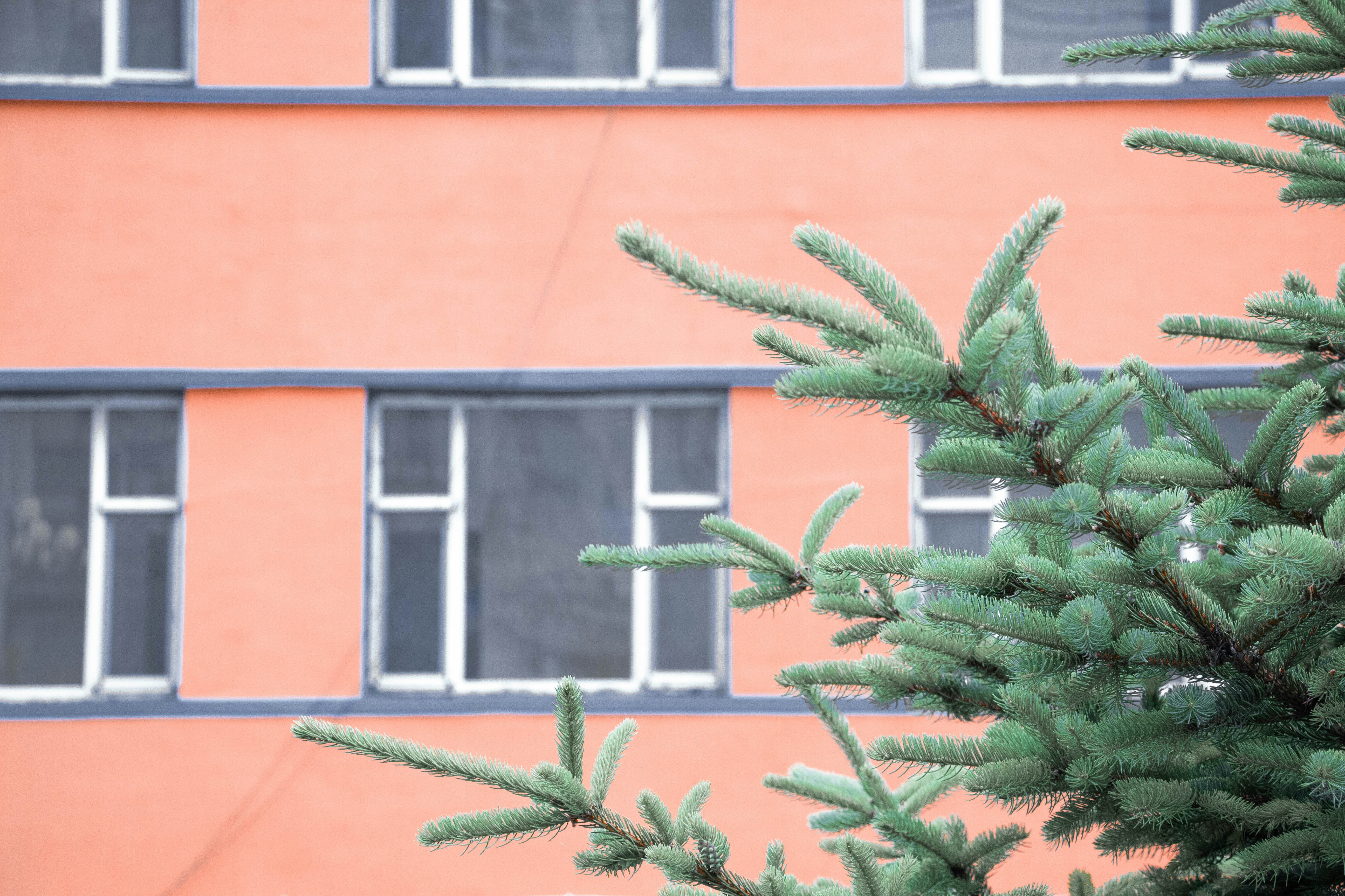 Photo by maro_of_sengu