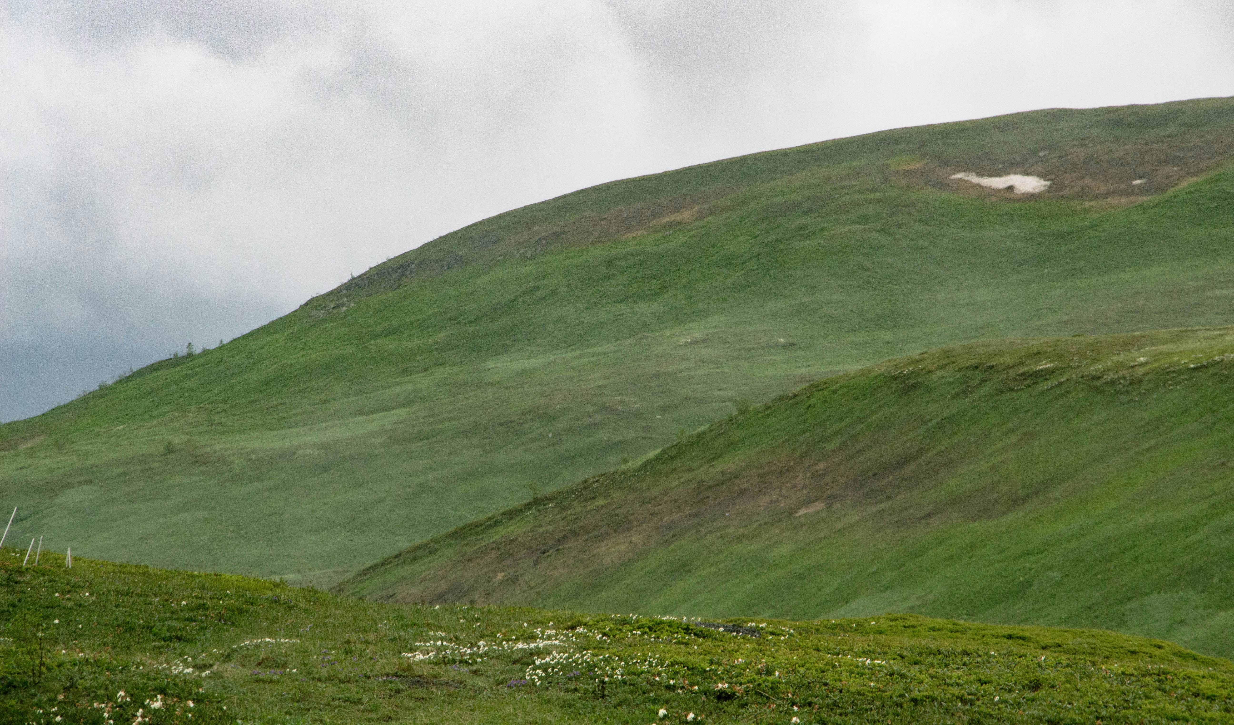 Photo by maro_of_sengu