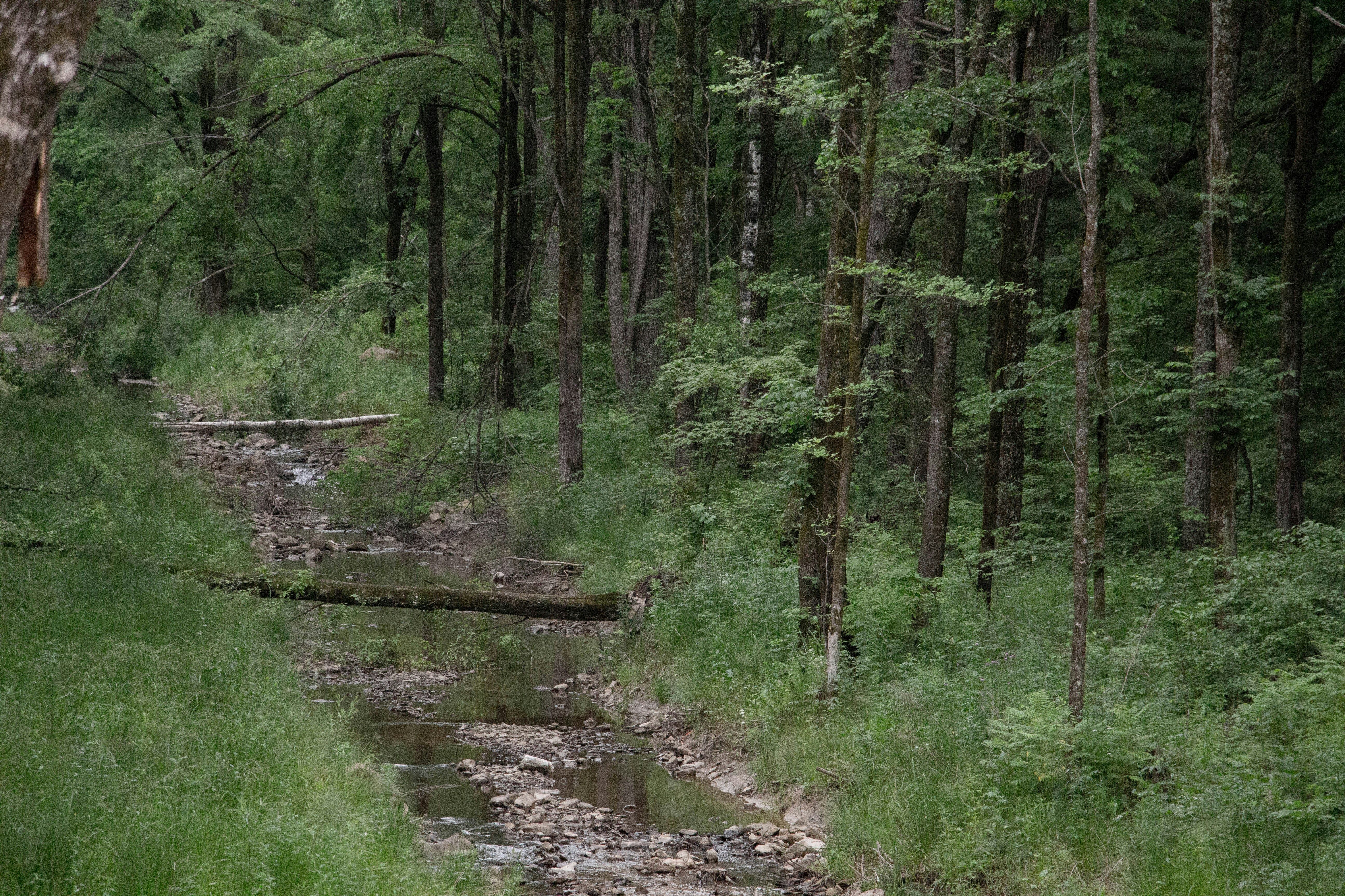 Photo by maro_of_sengu