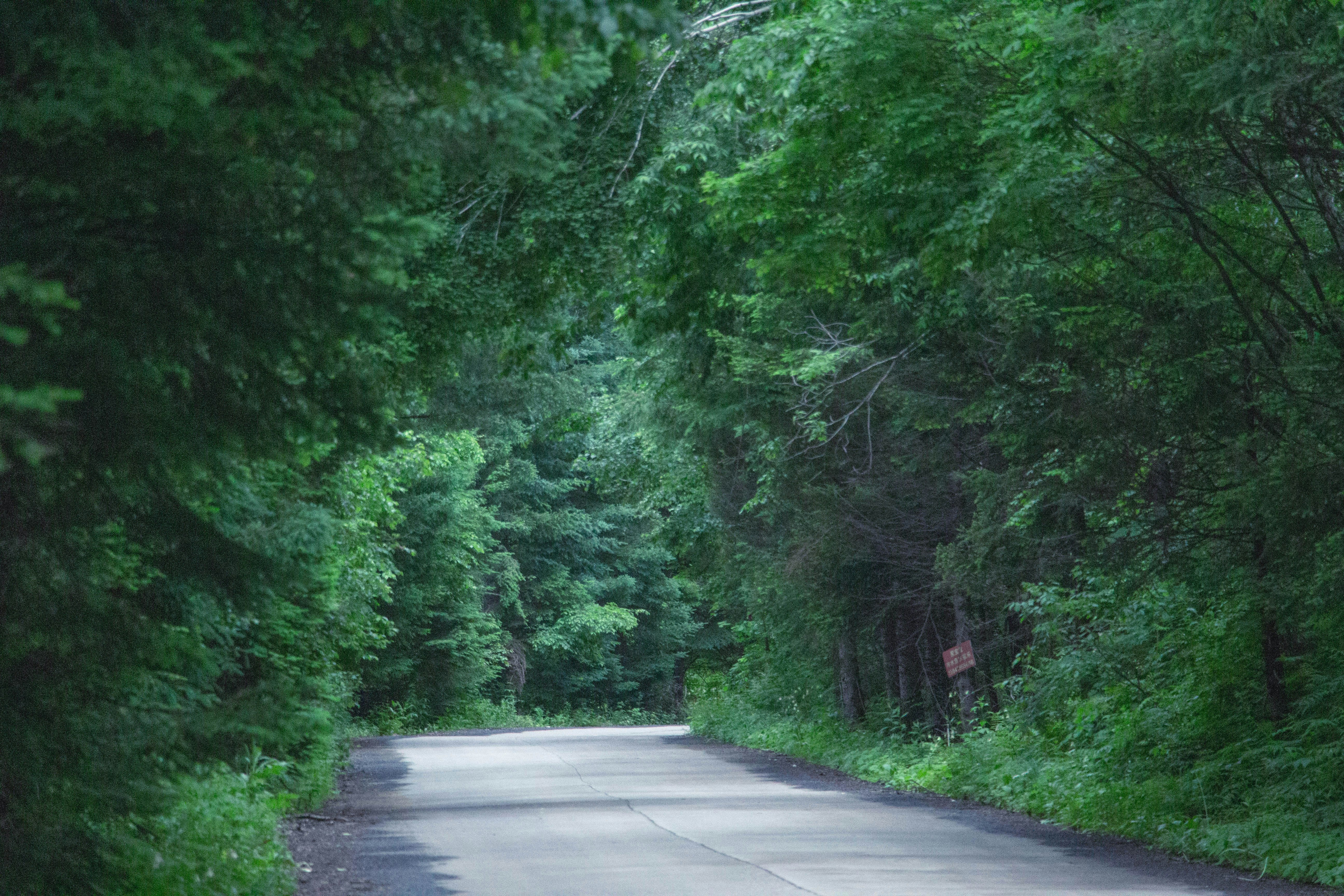 Photo by maro_of_sengu