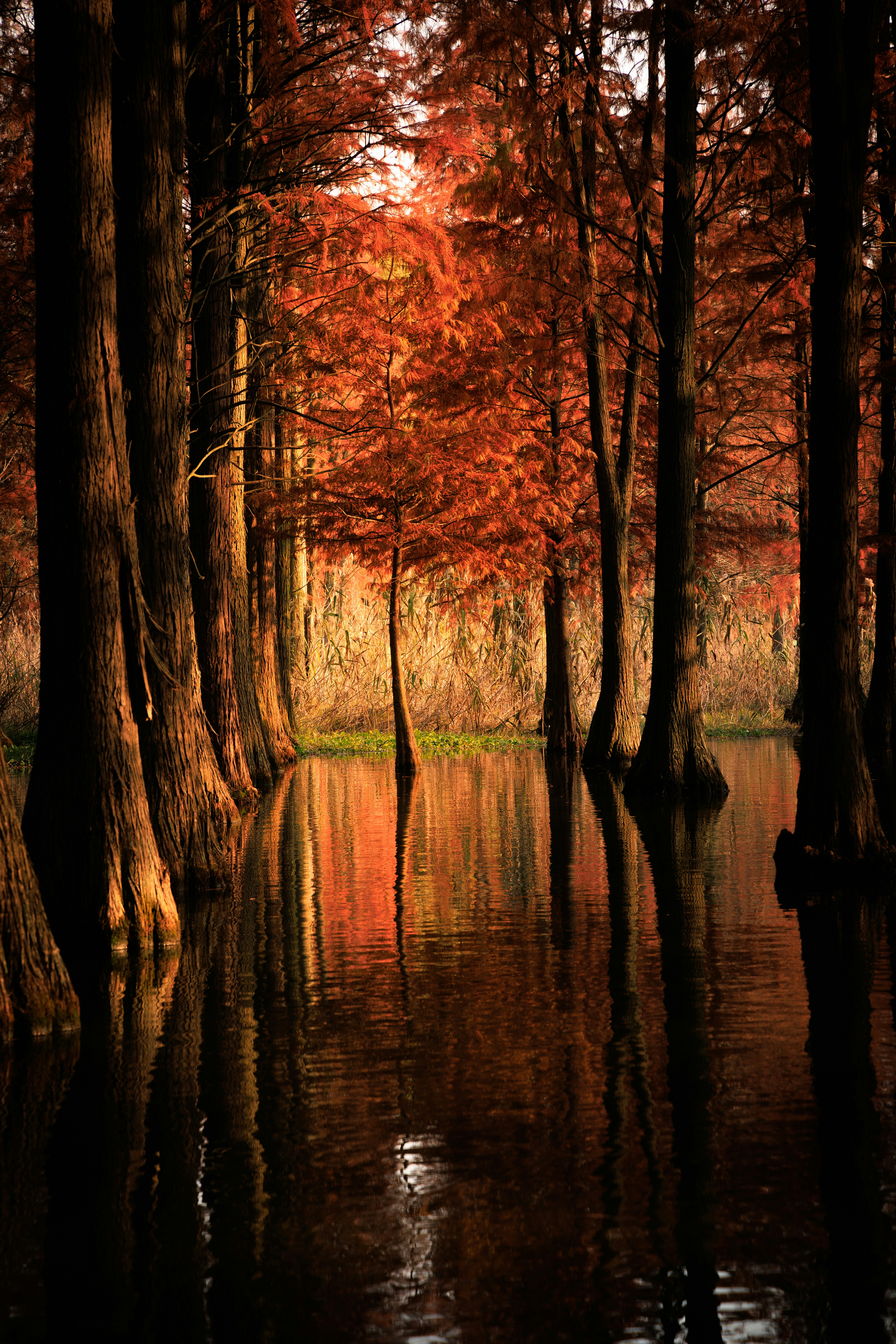 Photo by wenhao_ruan