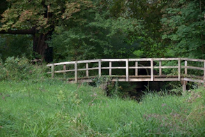 A wooden bridge in a grassy area with trees in the background