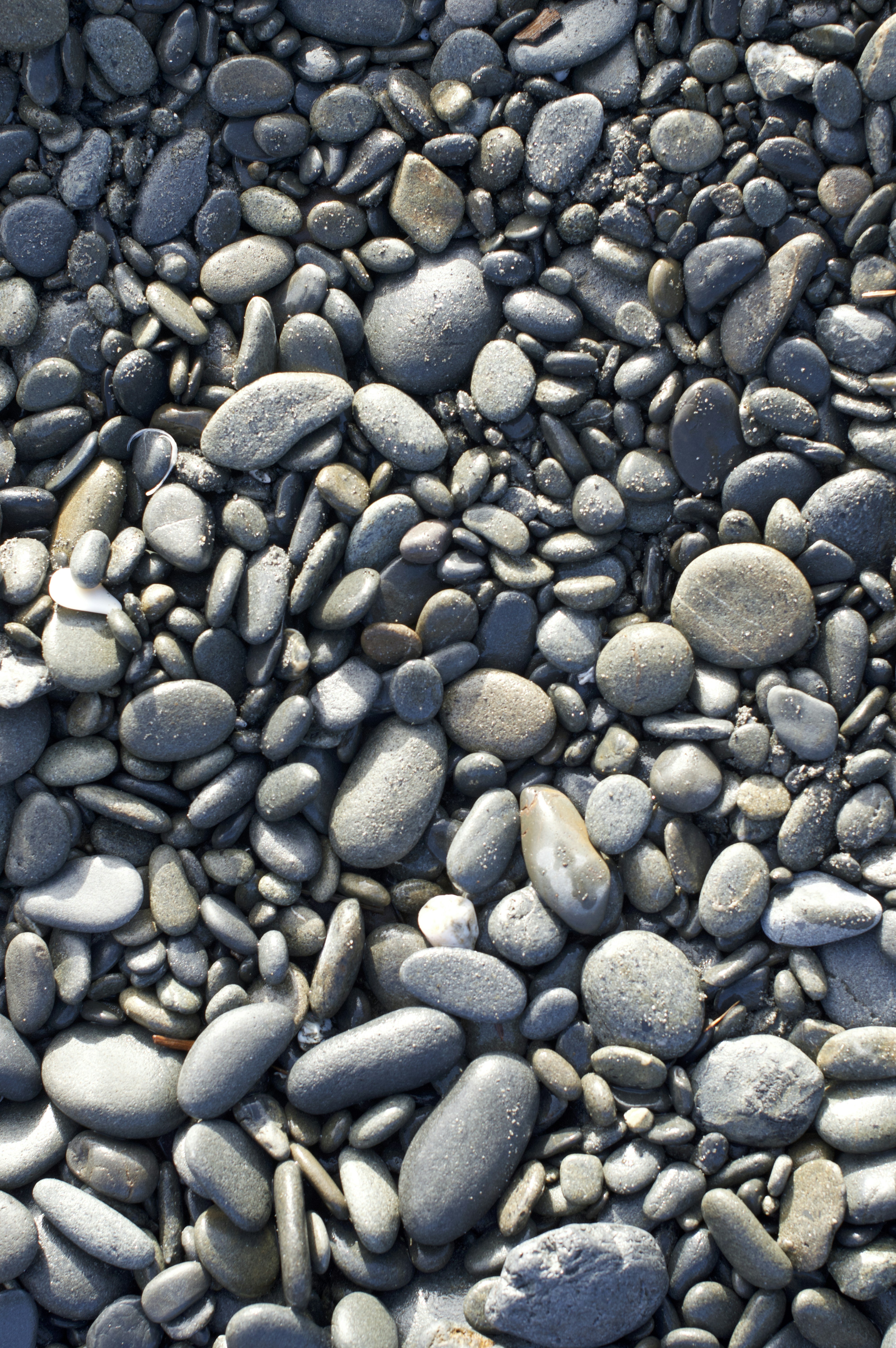 Photo by bryancolosky