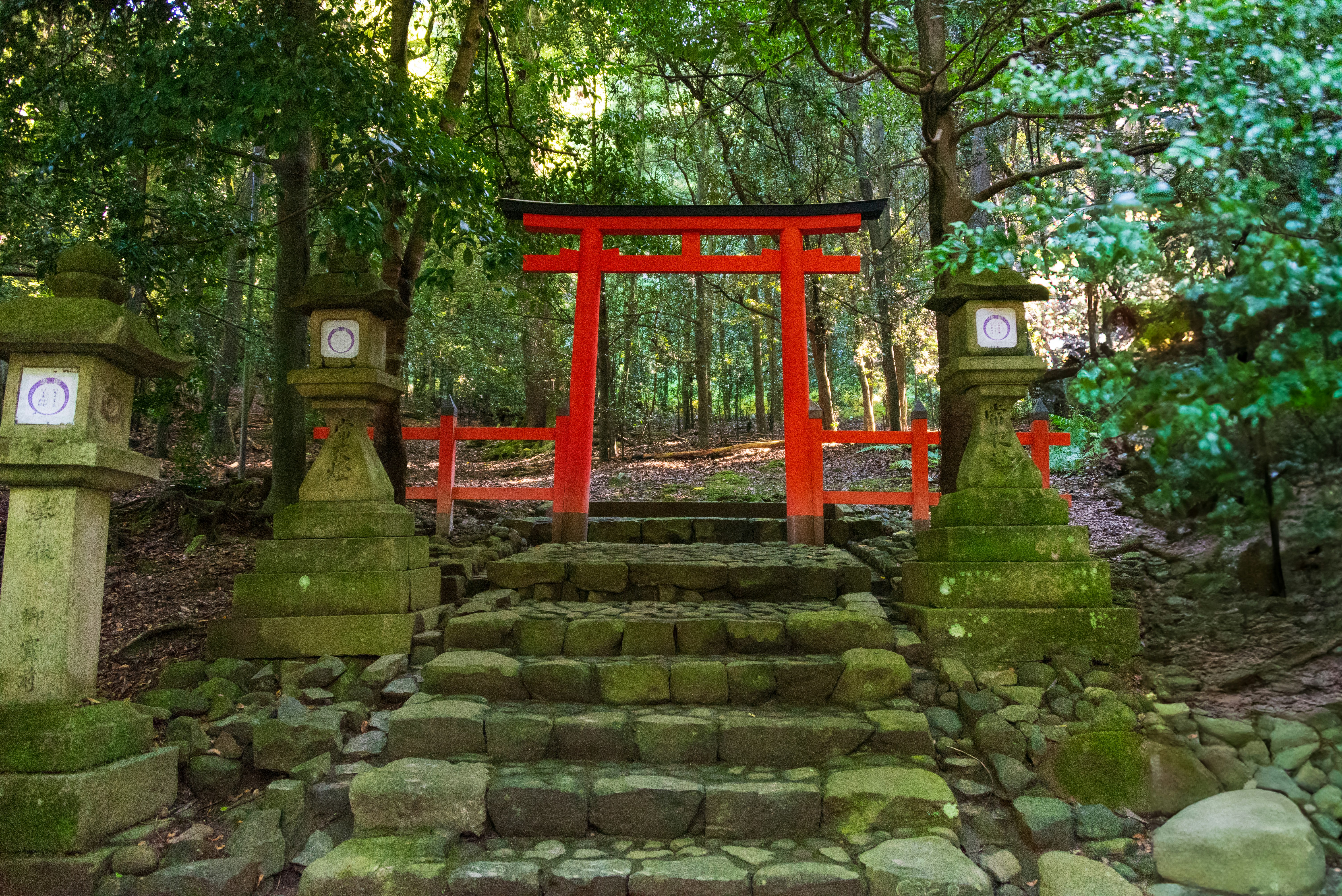 Photo by translytranslations