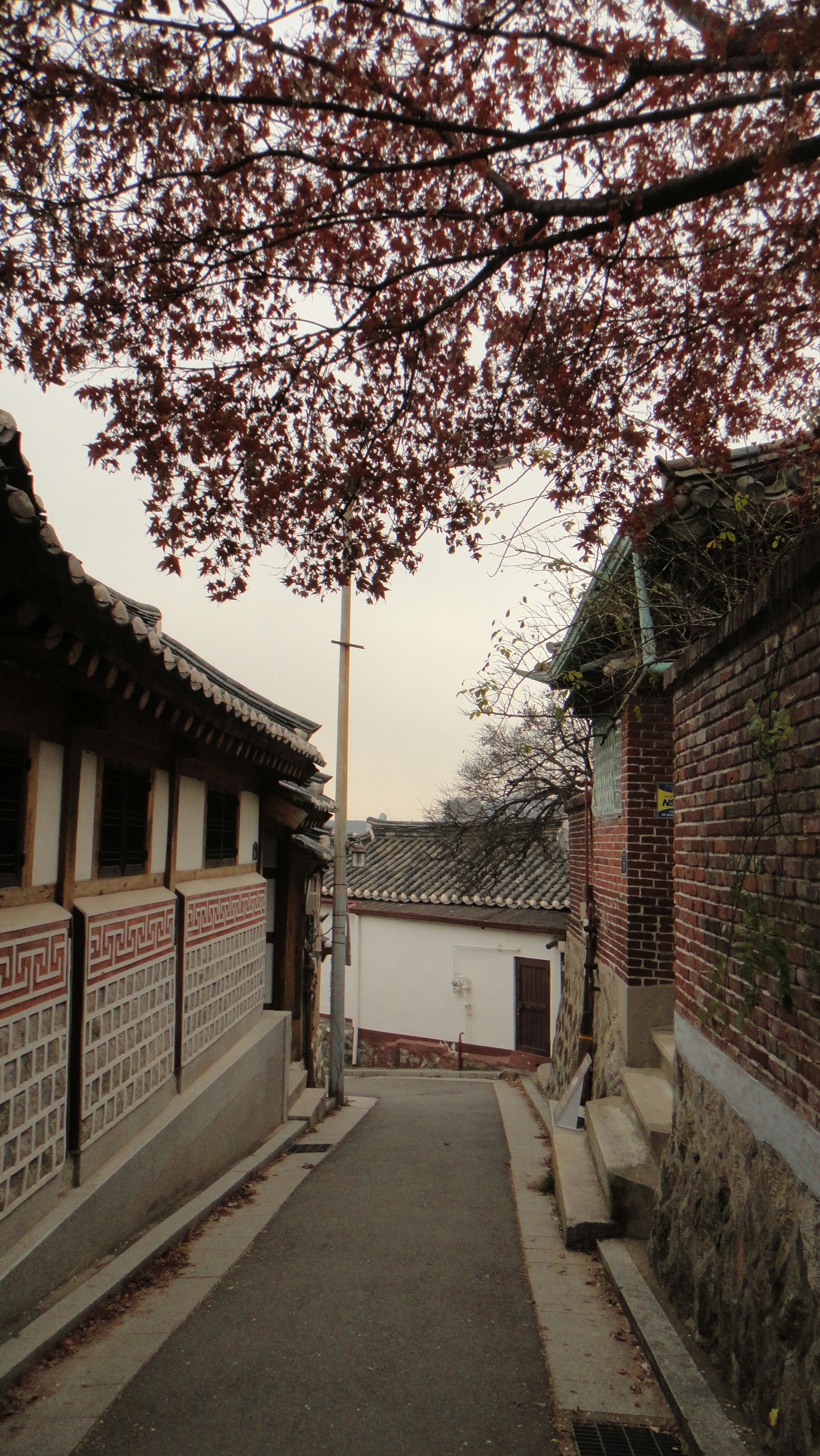 Photo by merimmunity