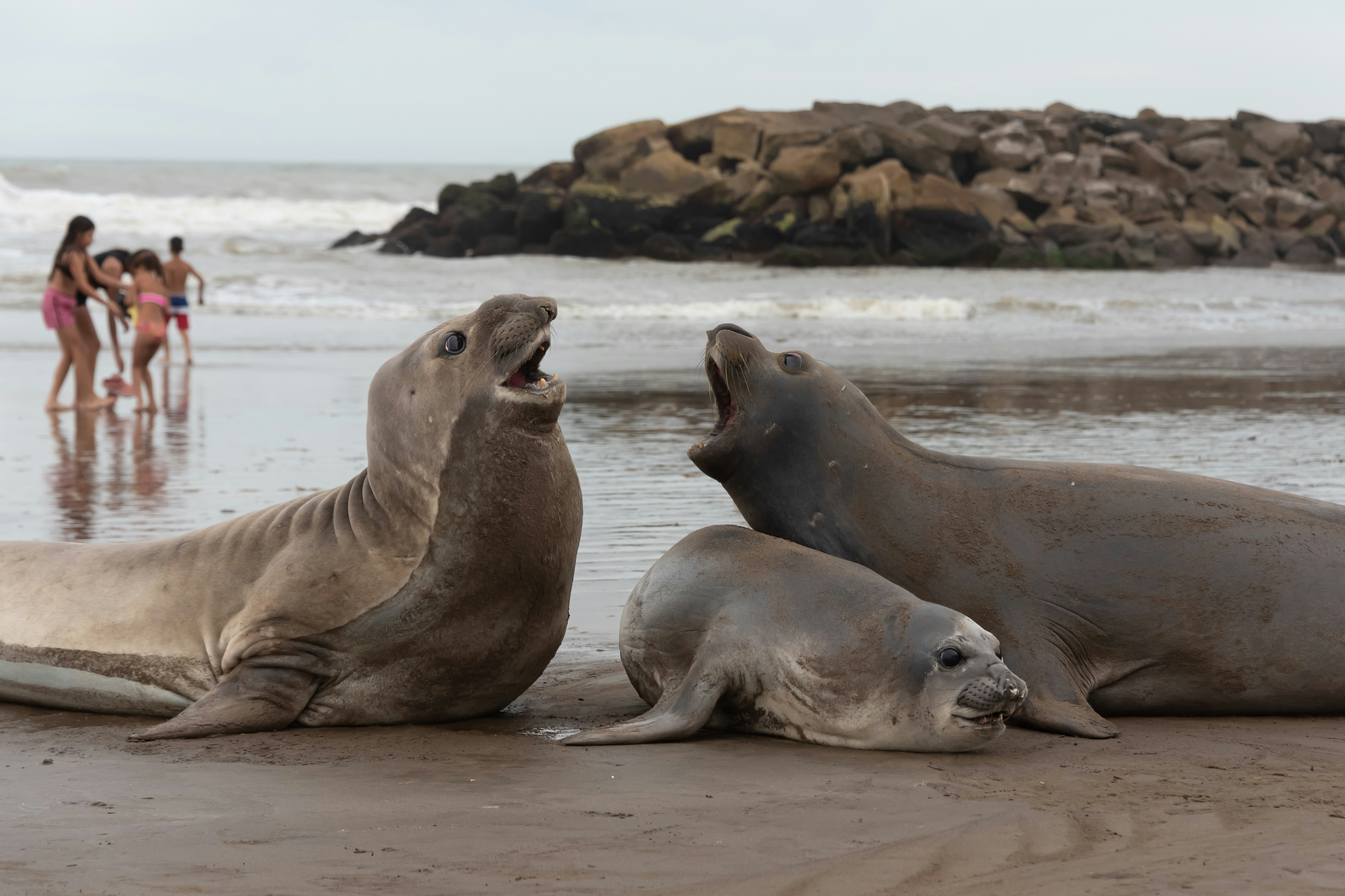 Photo by translytranslations