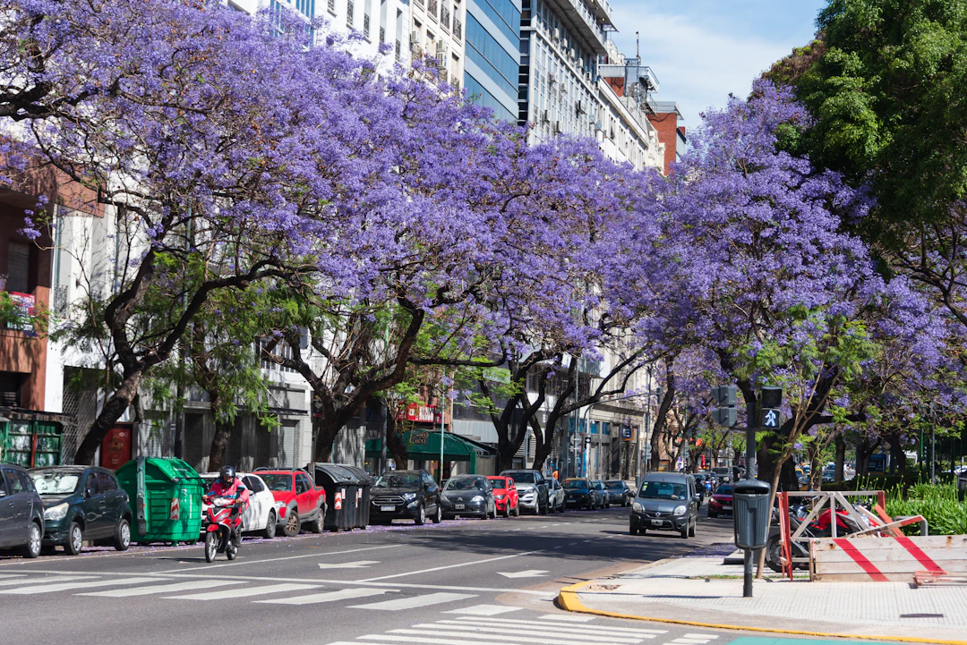 Guía de viaje Buenos Aires 2026 — qué ver, comer y consejos