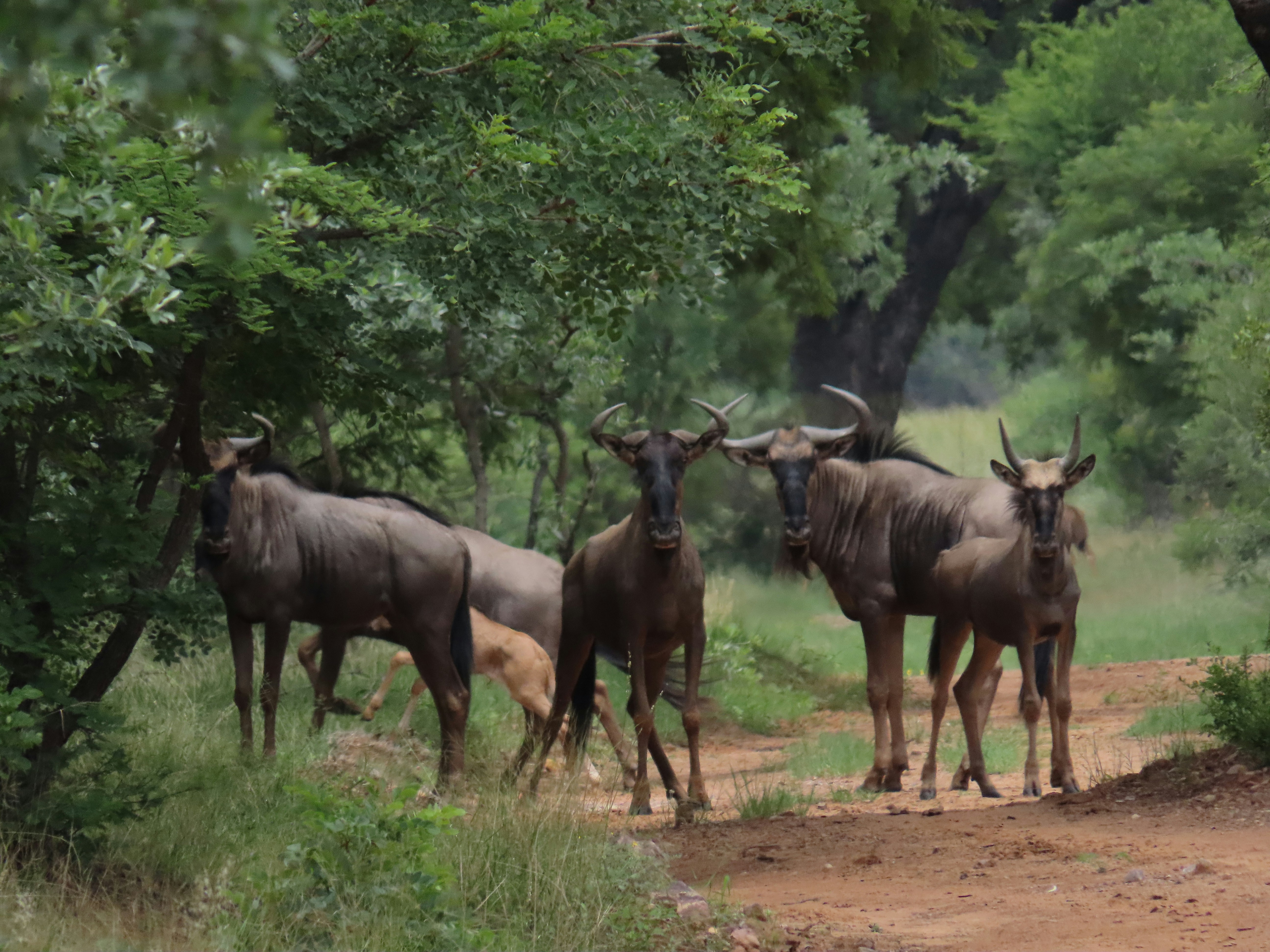 Photo by ja_photography