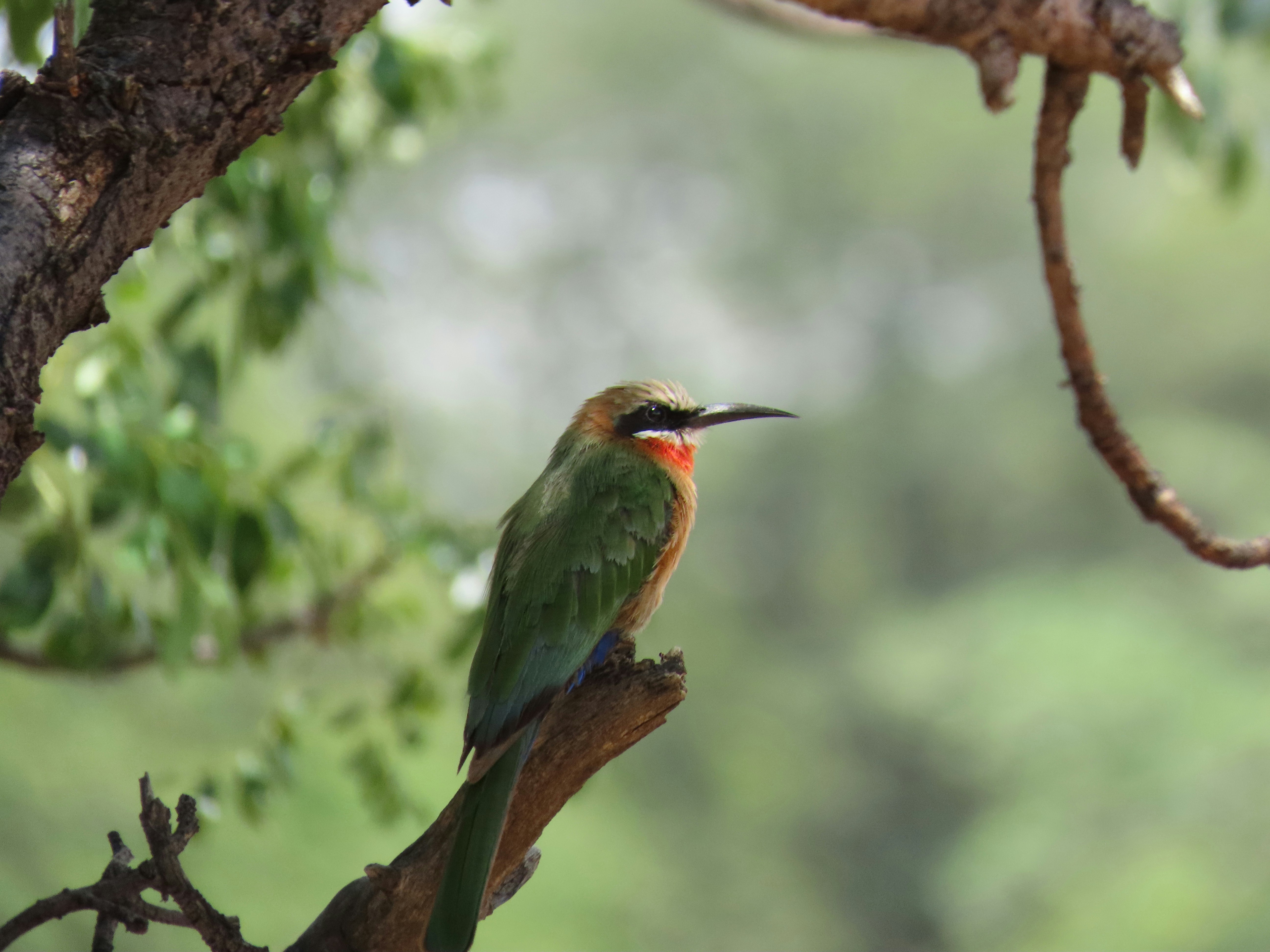 Photo by ja_photography