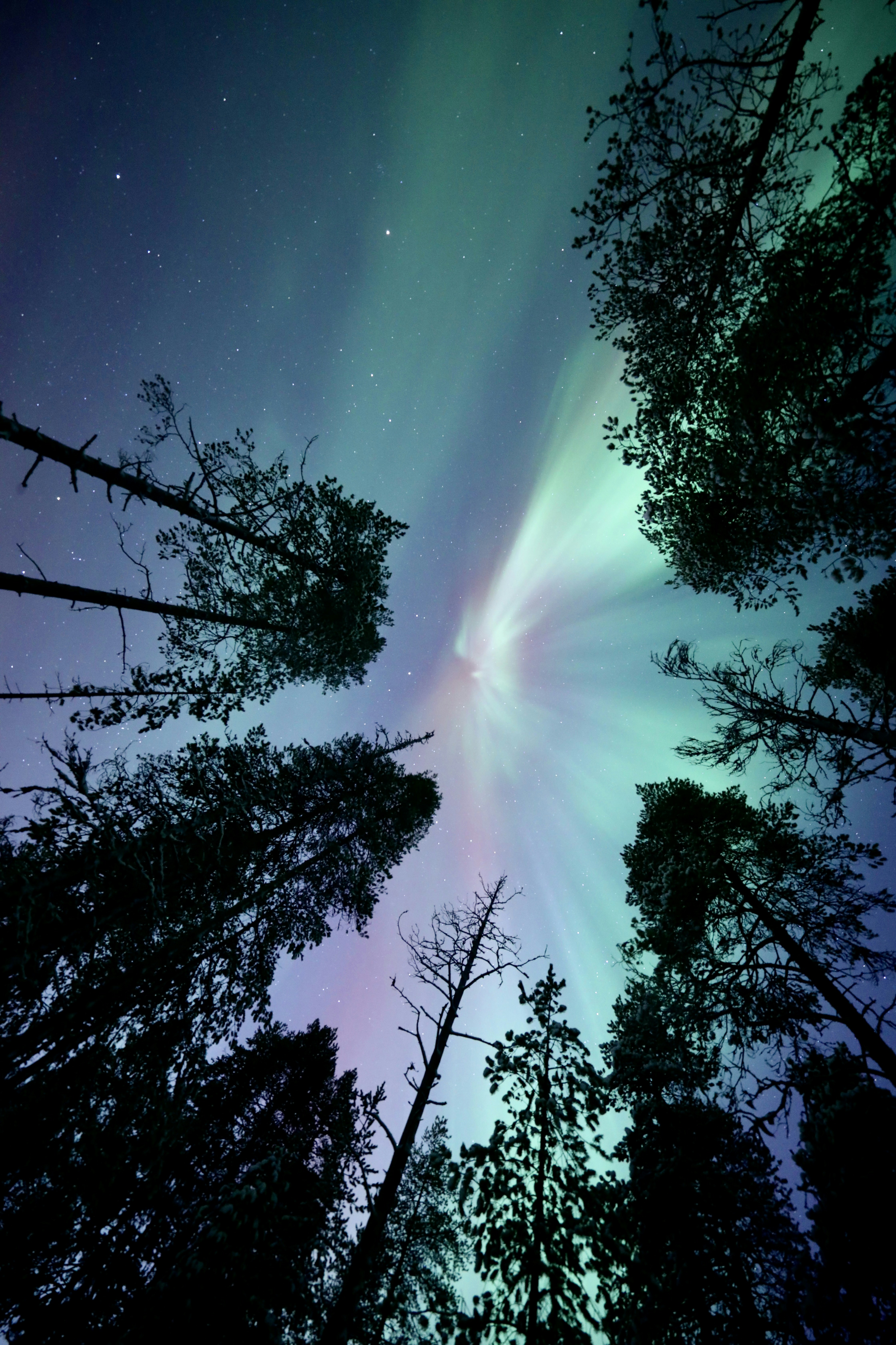 Rovaniemi travel photo