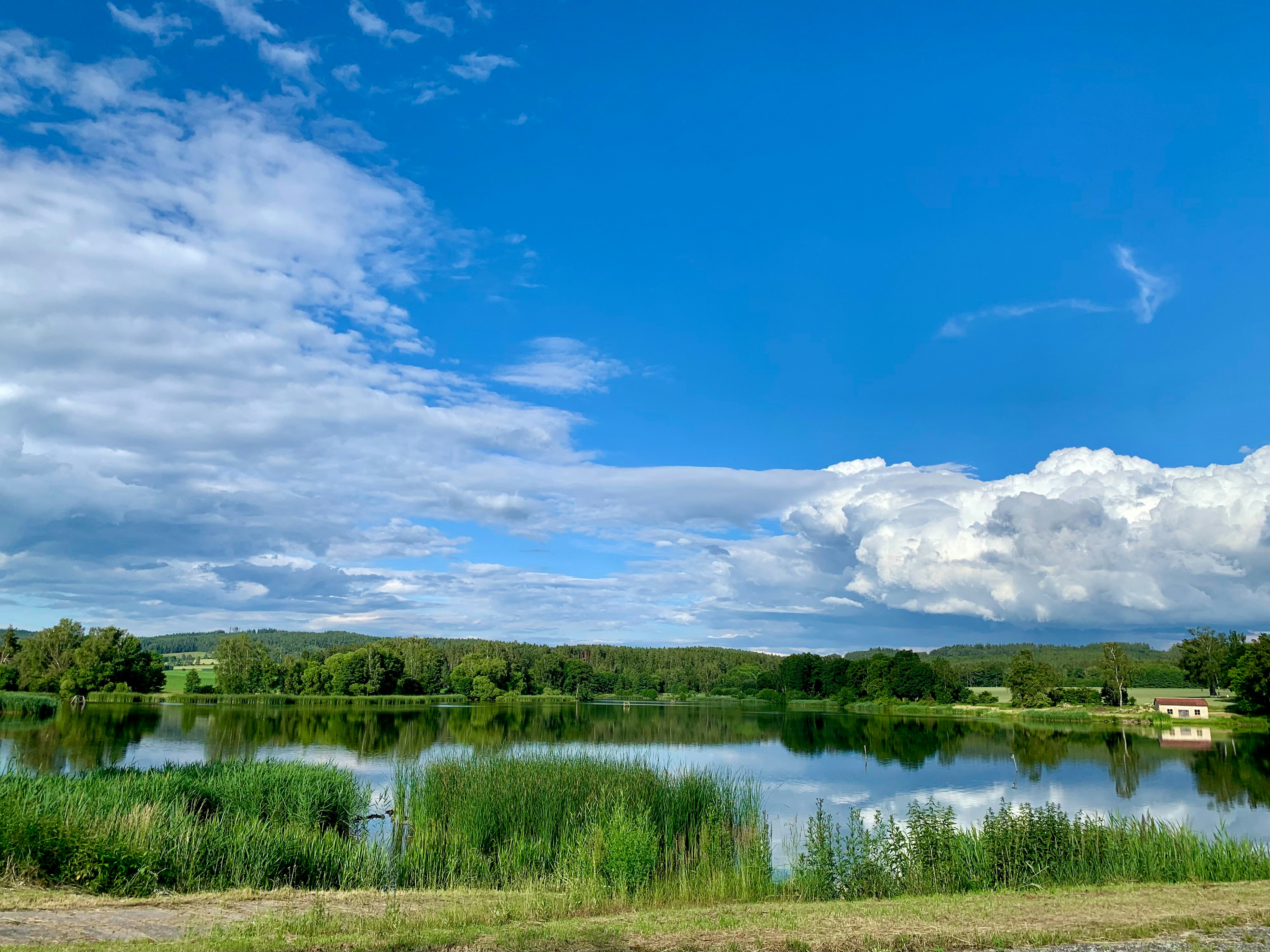 Photo by extravaganso