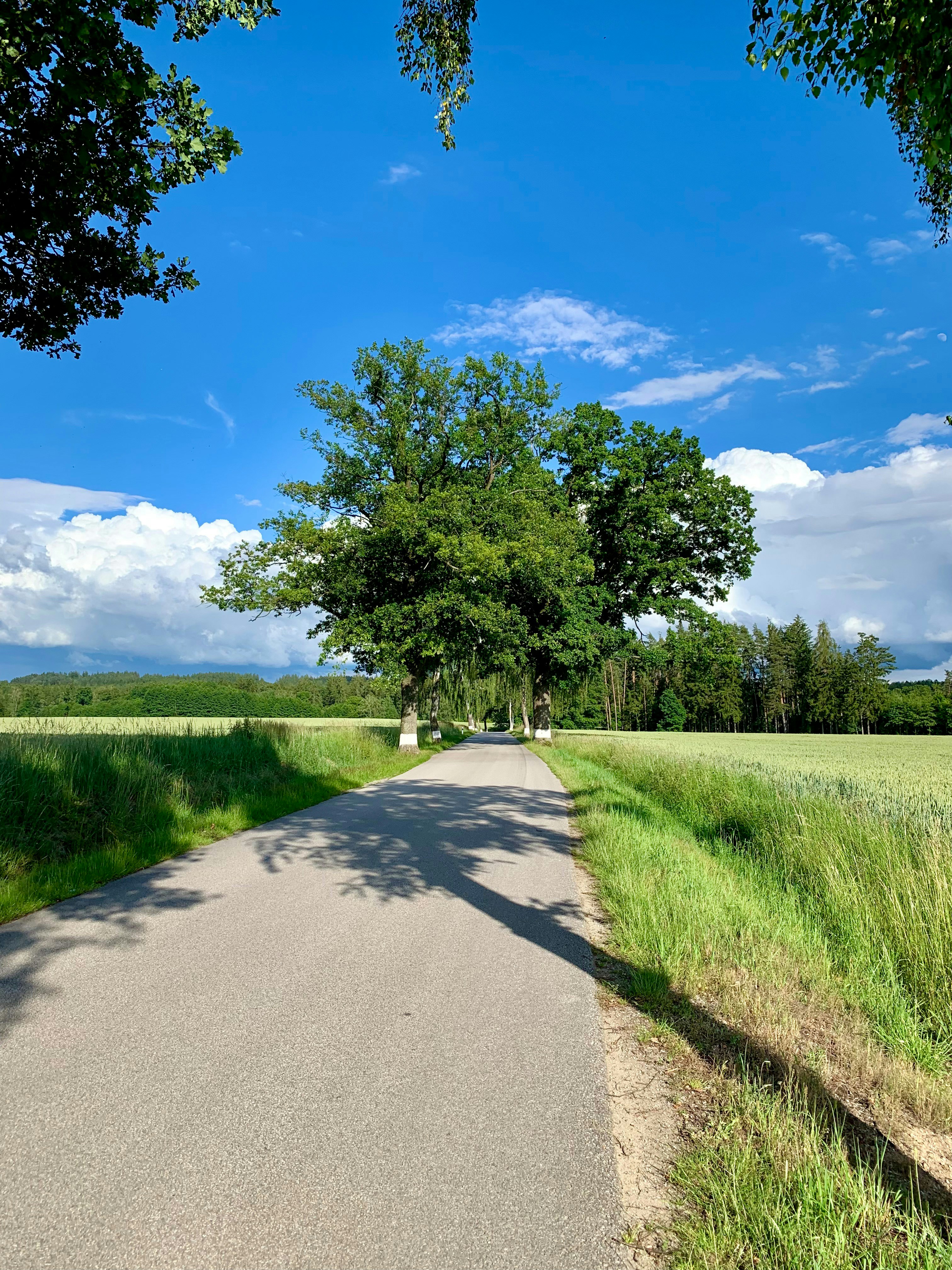 Photo by extravaganso