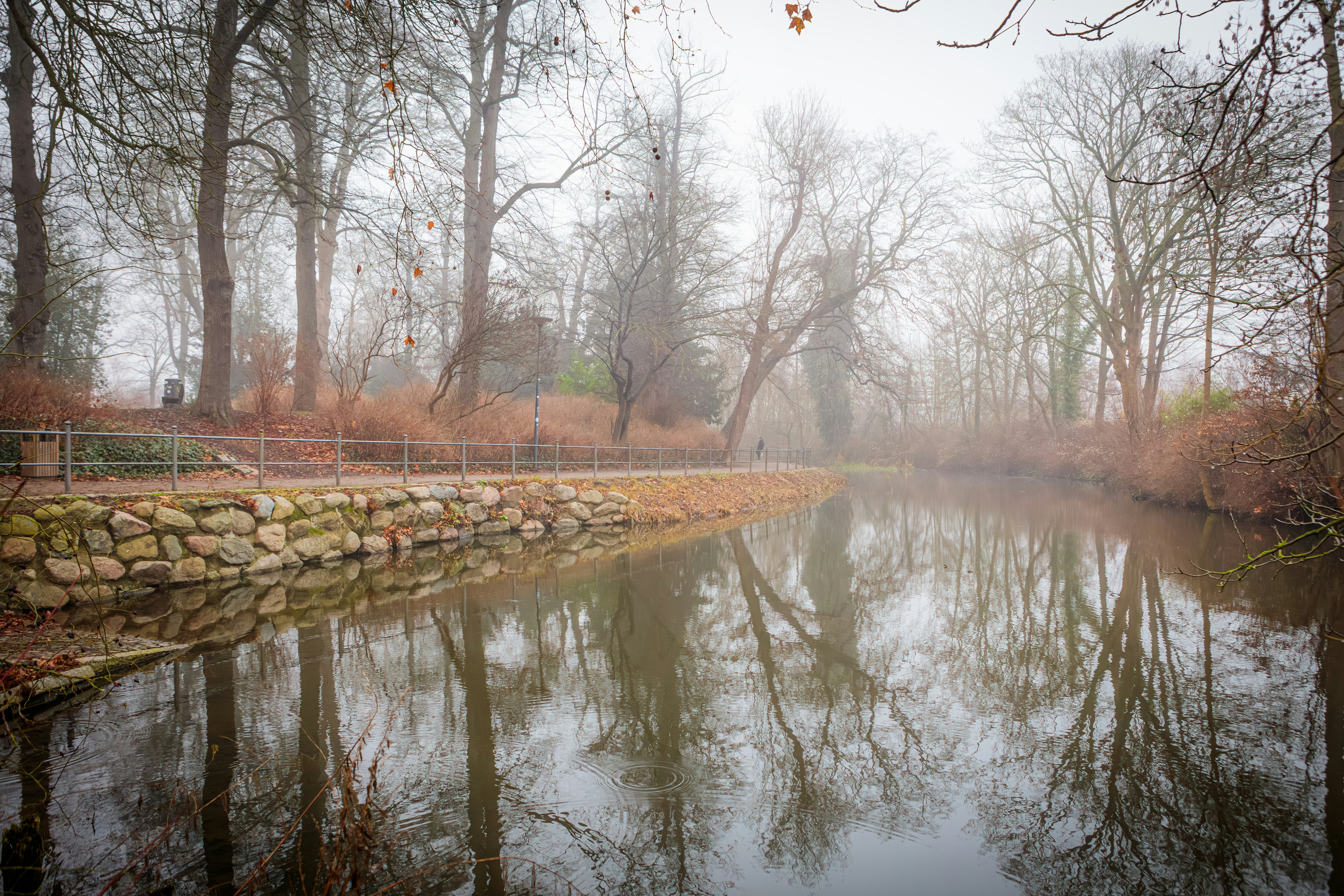 A pond surrounded by trees and a stone wall