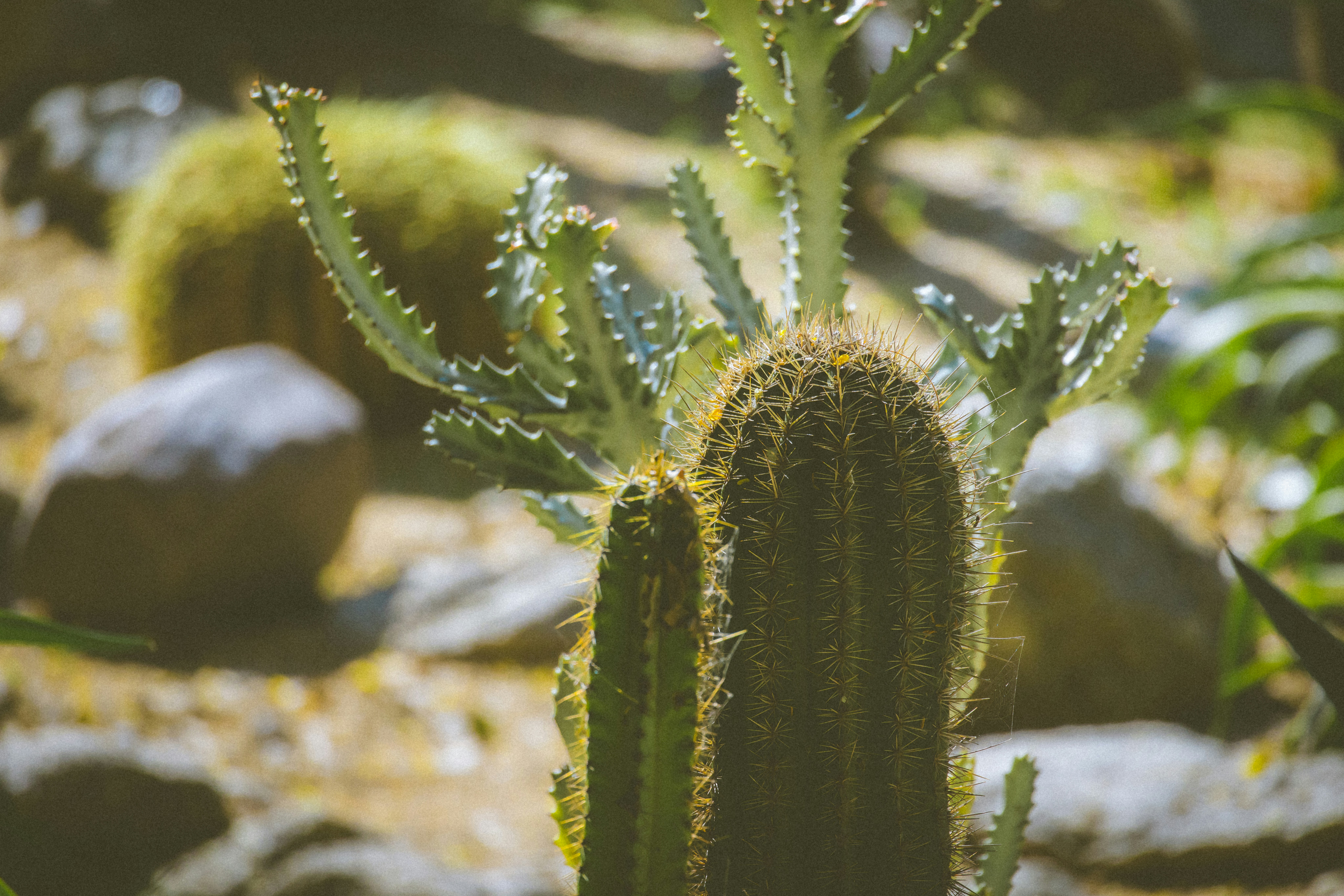 Photo by arttoinspire