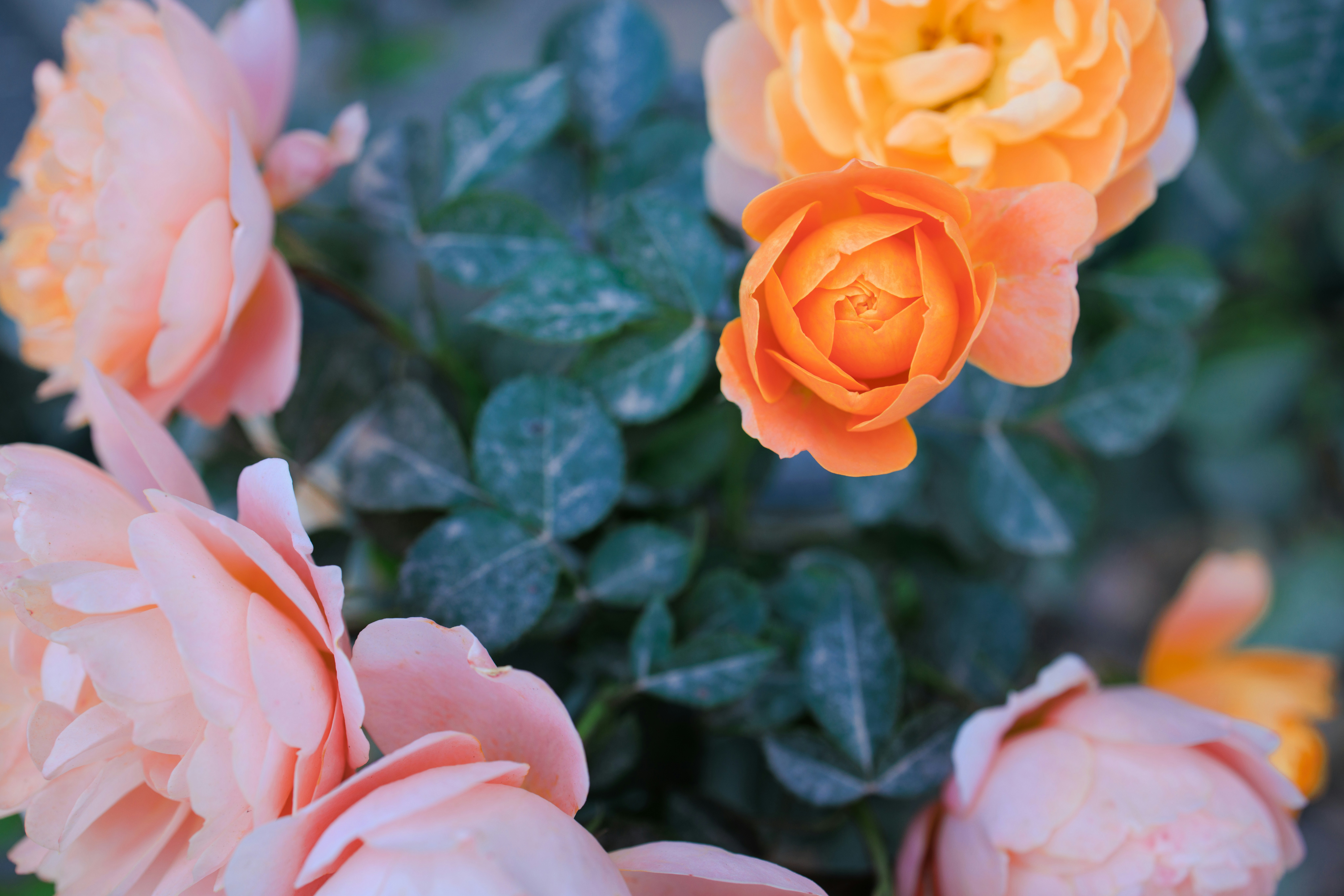 Photo by arttoinspire