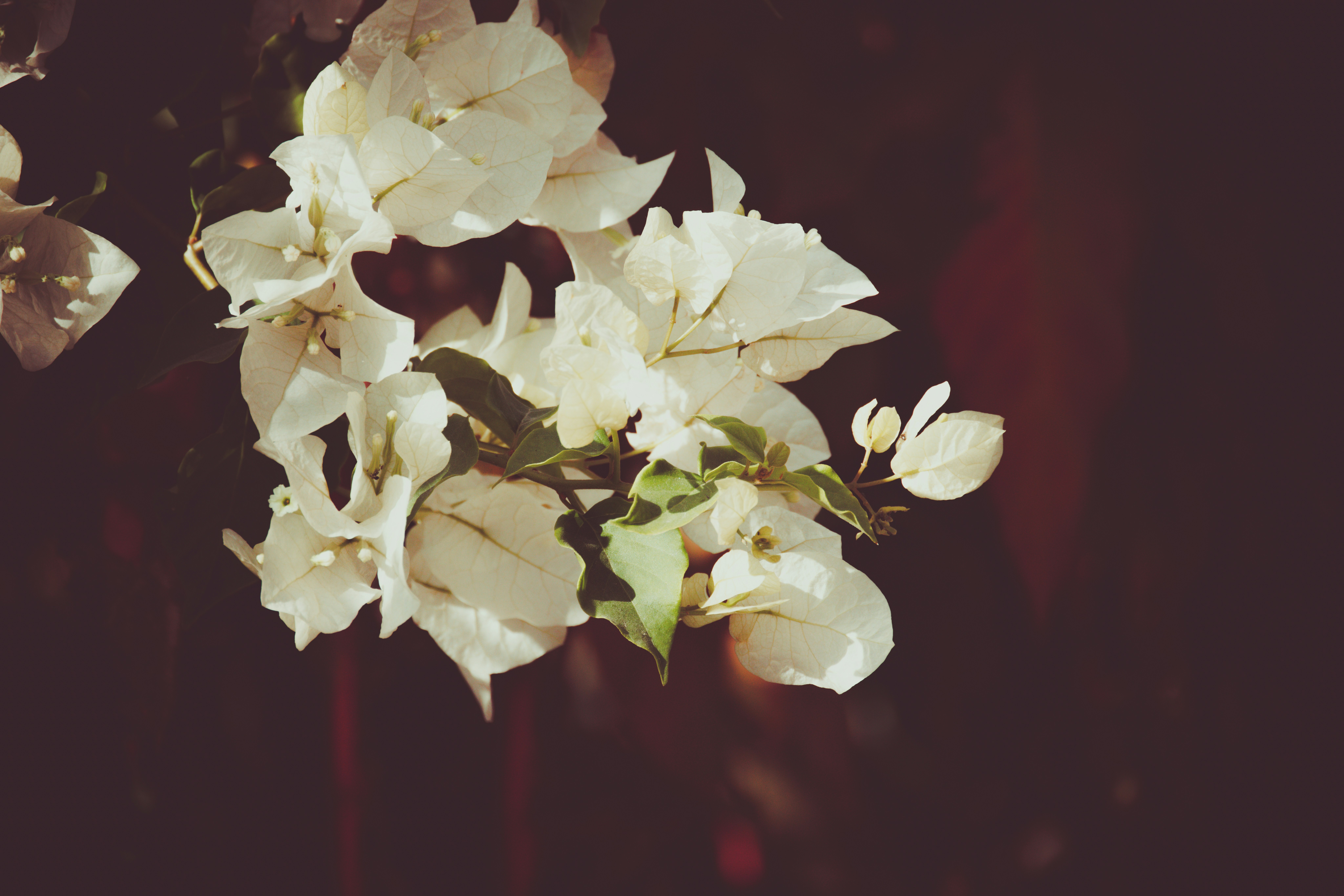 Photo by arttoinspire