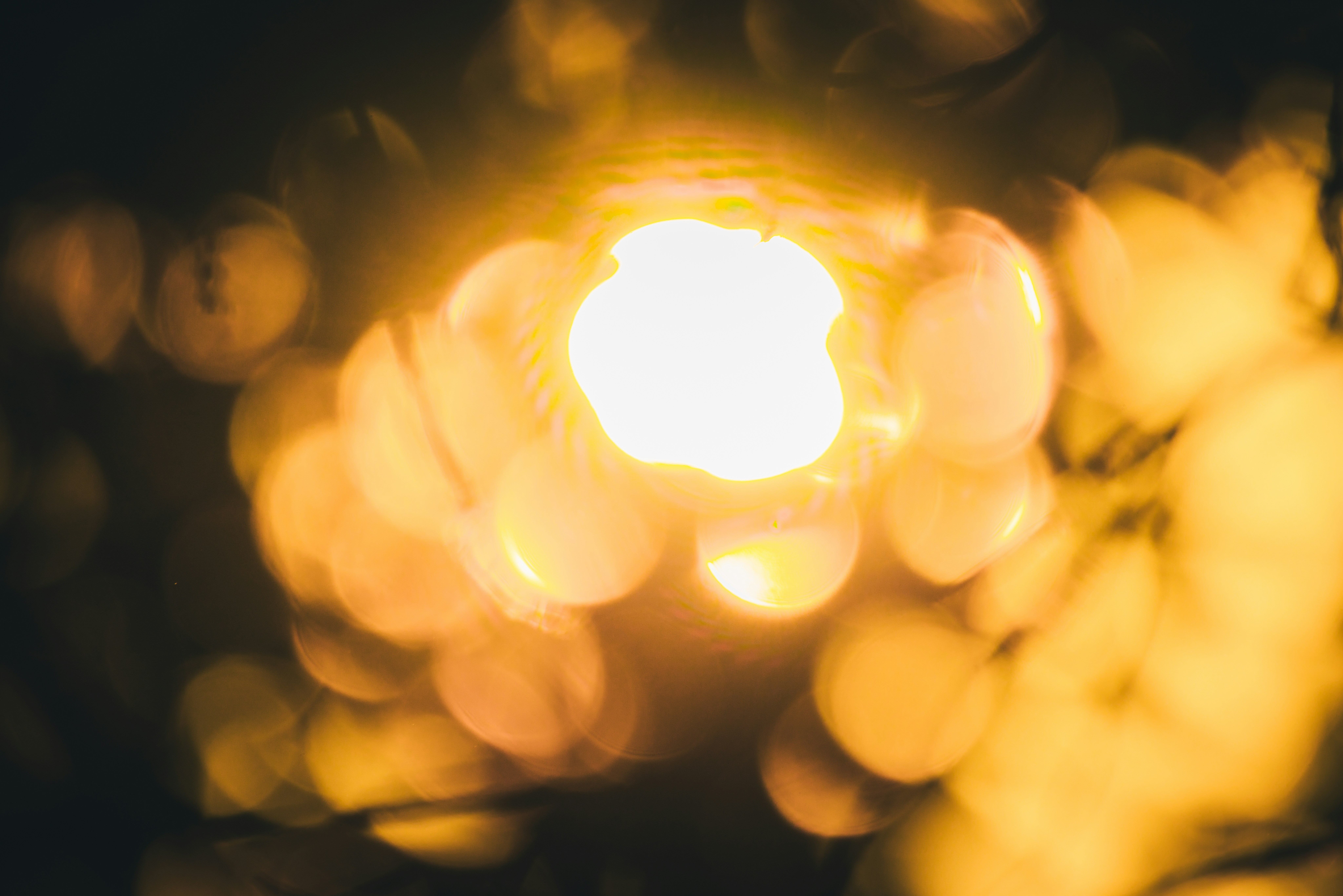 Photo by arttoinspire