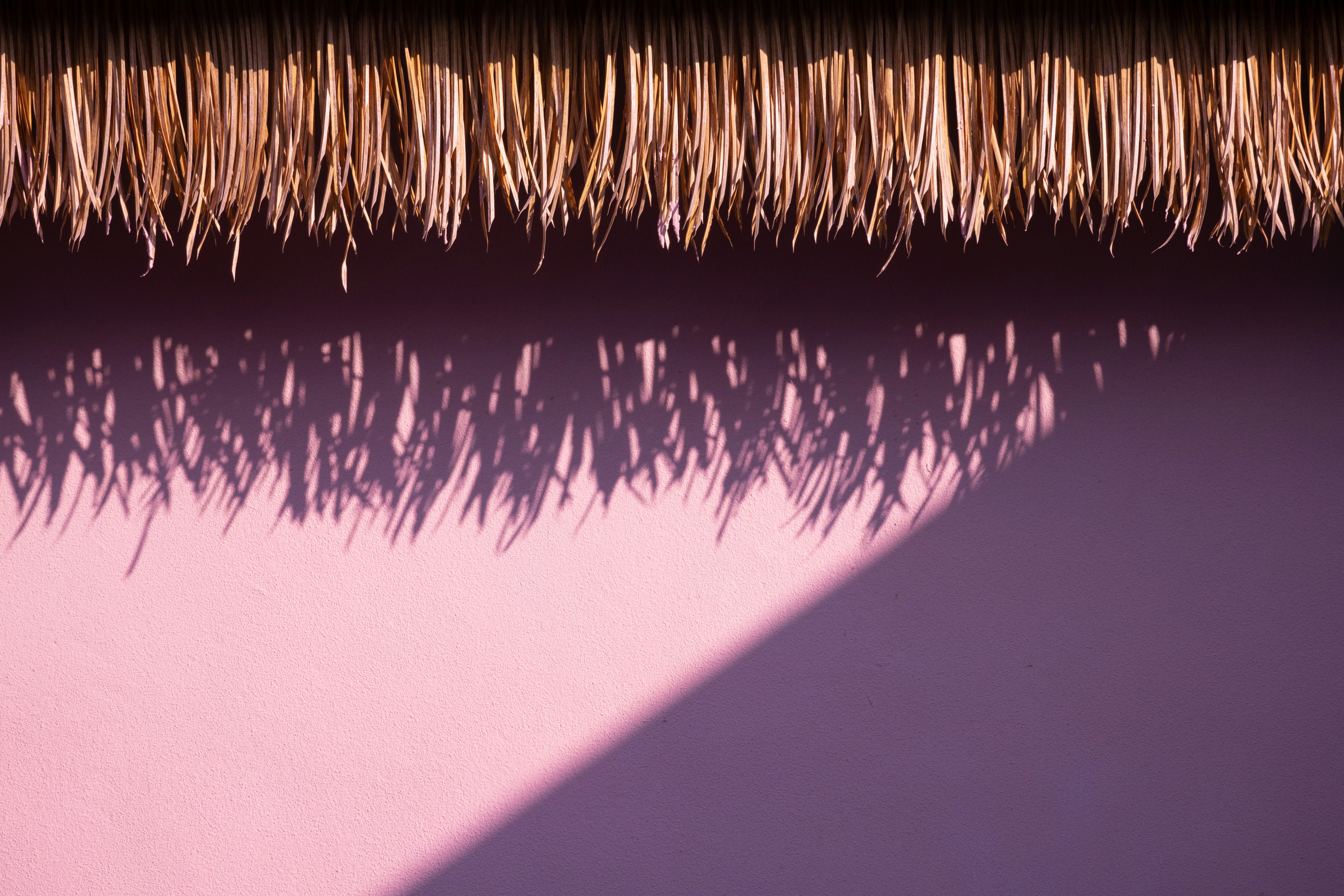 Photo by arttoinspire